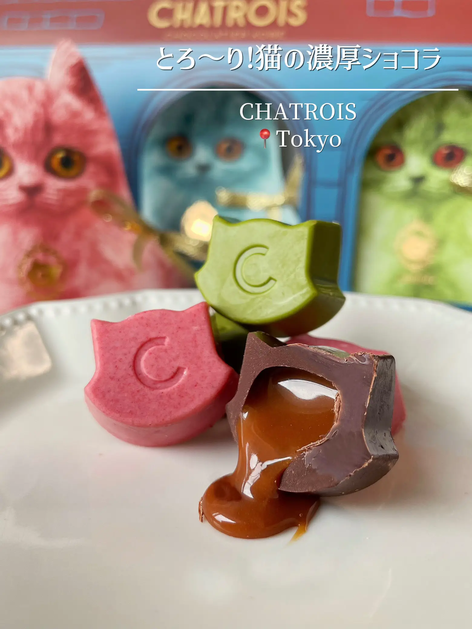 ねこちゃん様専用】 【公式通販】