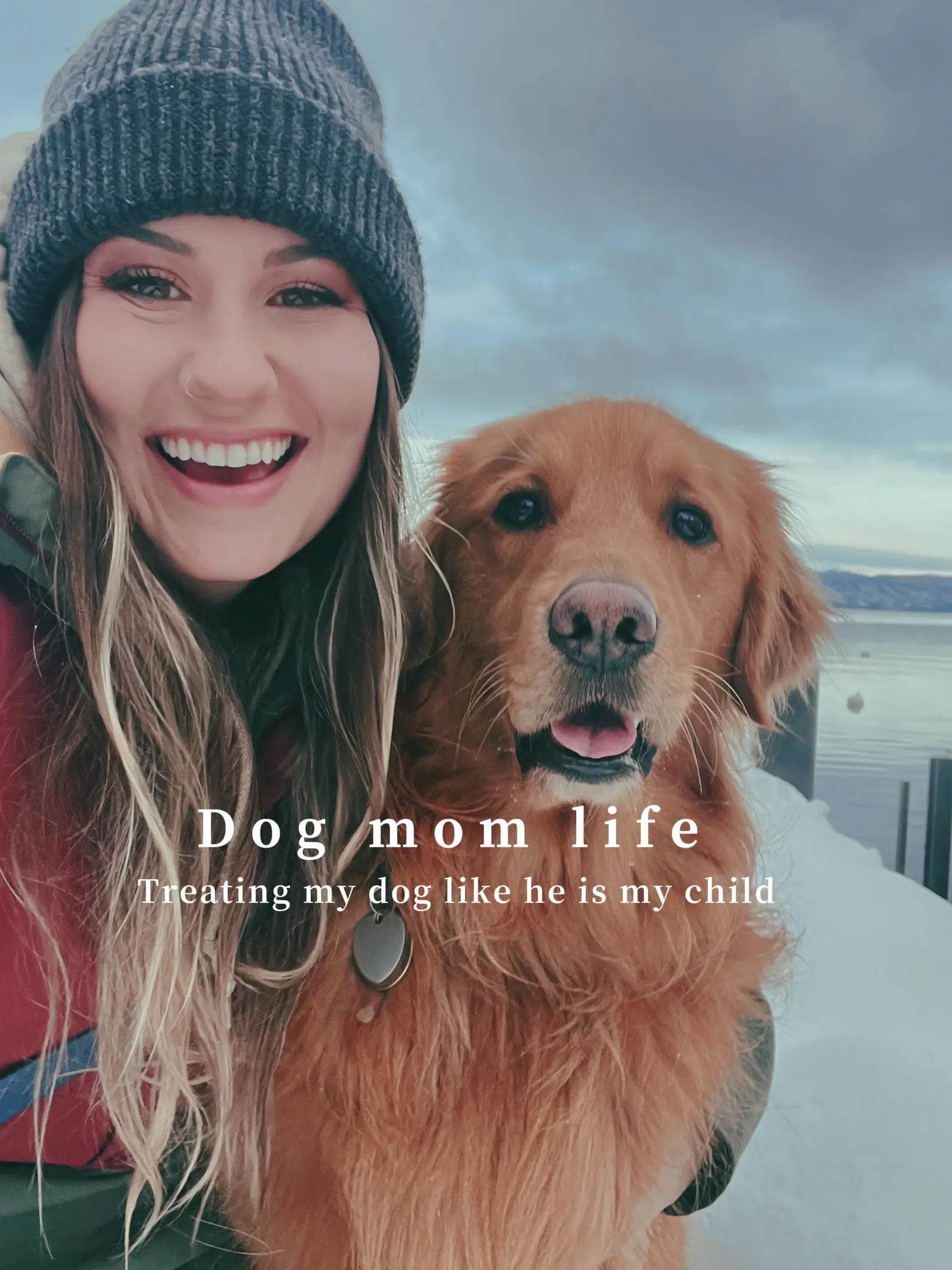 Treating my dog like he’s my child แกลเลอรีที่โพสต์โดย Dwight Lemon8