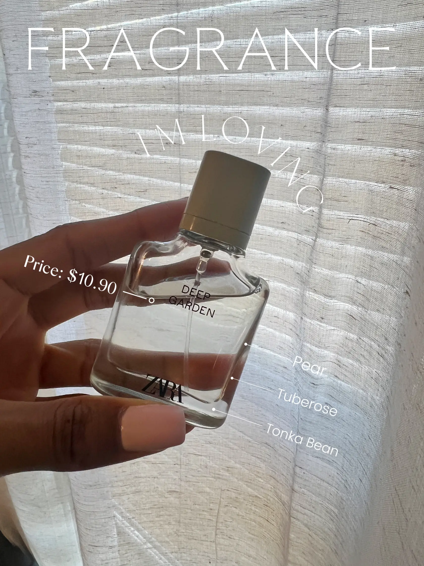 Inexpensive fragrance from Zara | Gallery posted by J | Lemon8