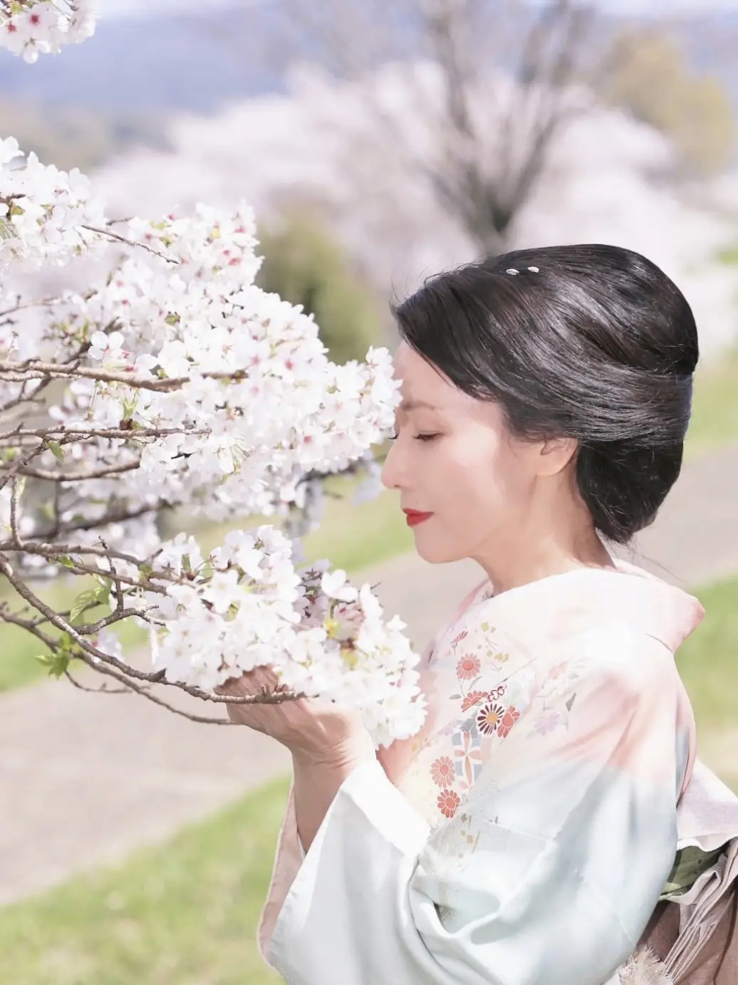桜満開🌸 千總の訪問着と螺鈿細工の袋帯✨👘 | mitsuyo122が投稿した