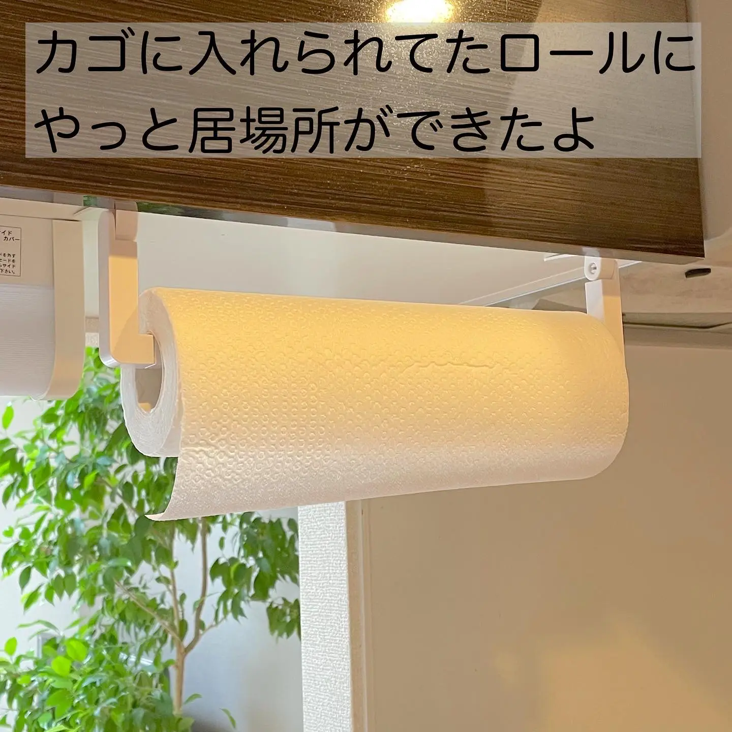 Daiso I found a hanging cupboard kitchen paper holder that