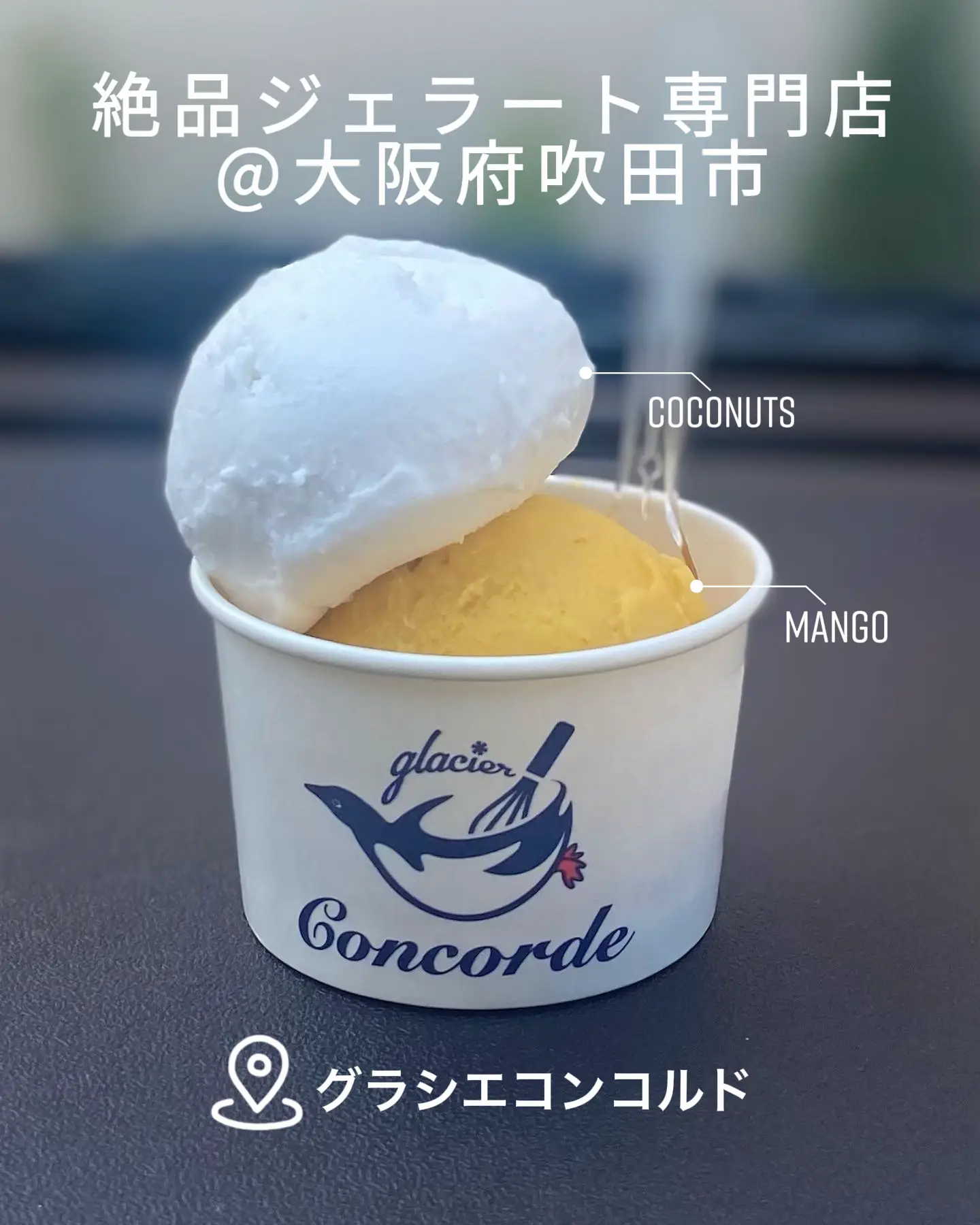 ココナッツジェラートが美味しい！ 吹田市のおすすめジェラート専門店