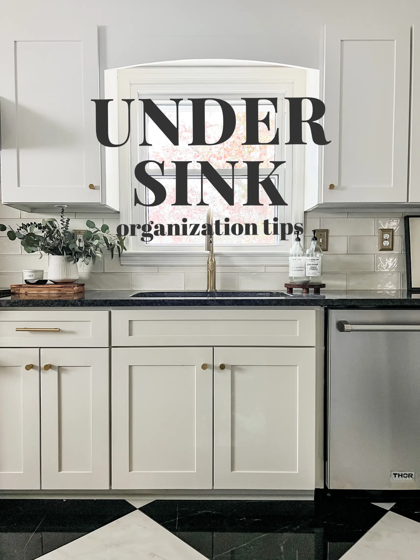 How to Organize Under the Kitchen Sink - Teresa Caruso