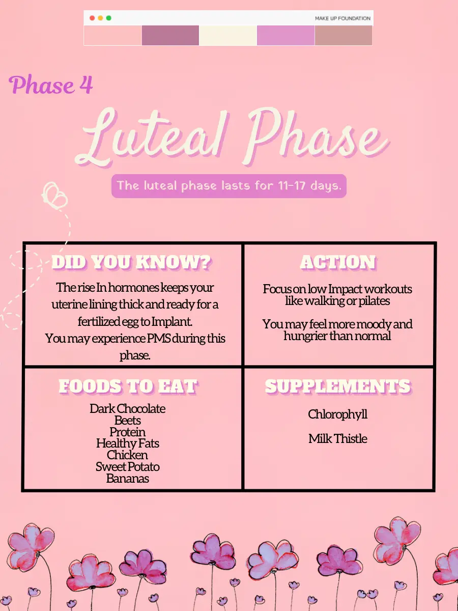 4 Cycle Phases - Lemon8 Search