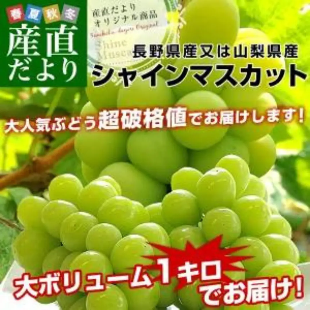 この値段は嬉しいかも   シャインマスカット美味しいよねぇ