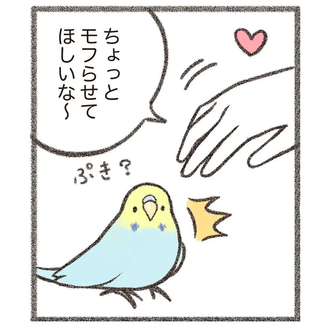 自由なセキセイインコ   | 鳥野ニーナ | 鳥マンガ描きが投稿したフォトブック | Lemon8