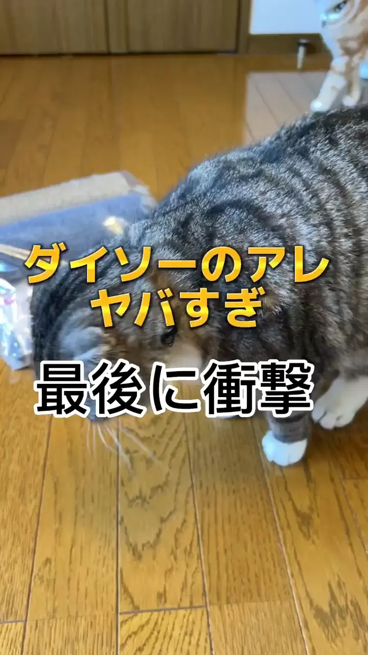 【激安】ダイソーの猫用爪とぎがヤバすぎるwww