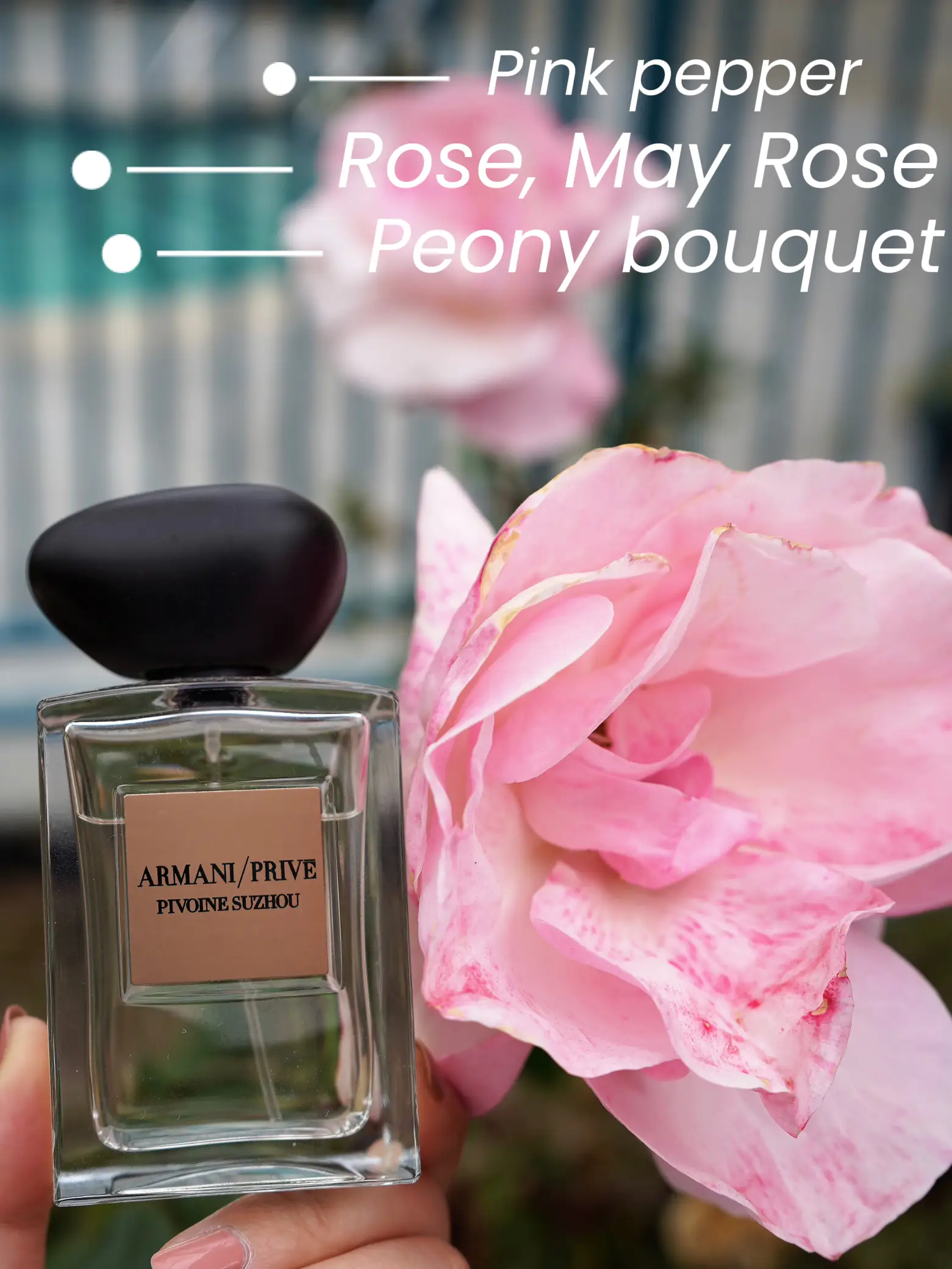 Armani Spring vibe perfume Peony just in bloom Gallery posted