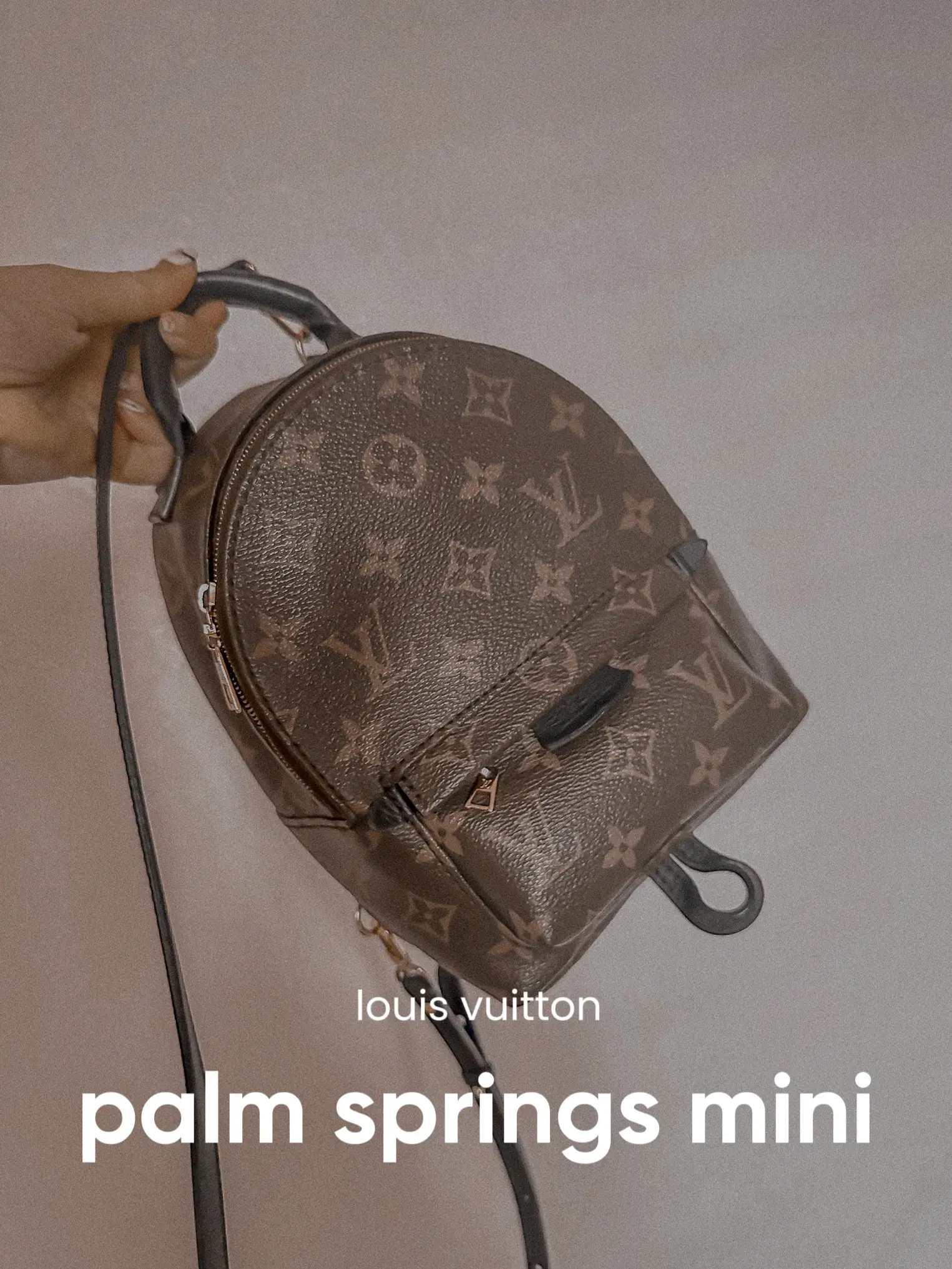 BOUJEE ON A BUDGET  LOUIS VUITTON PALM SPRINGS BACKPACK MINI