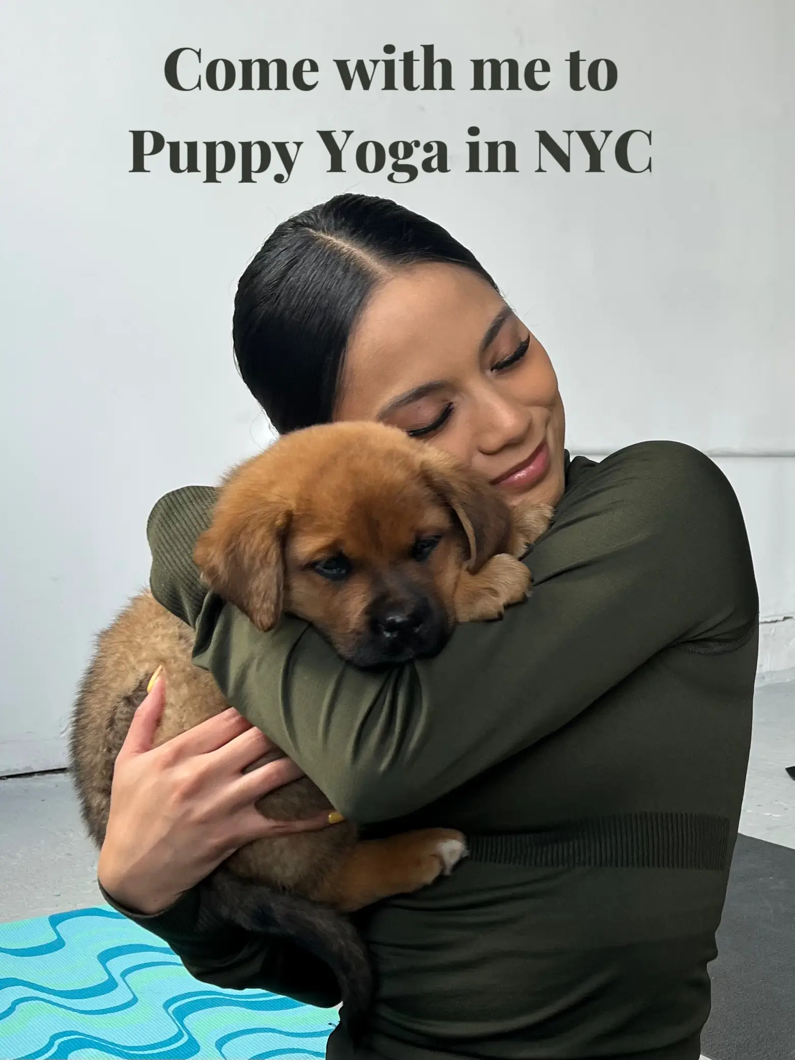 Puppy Yoga NYC: Unleash Happiness and Bliss with Adorable Canine Companions