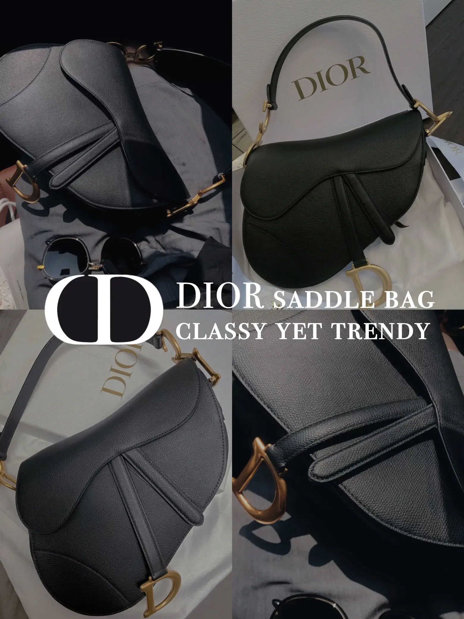Dior saddle bag colours : r/handbags