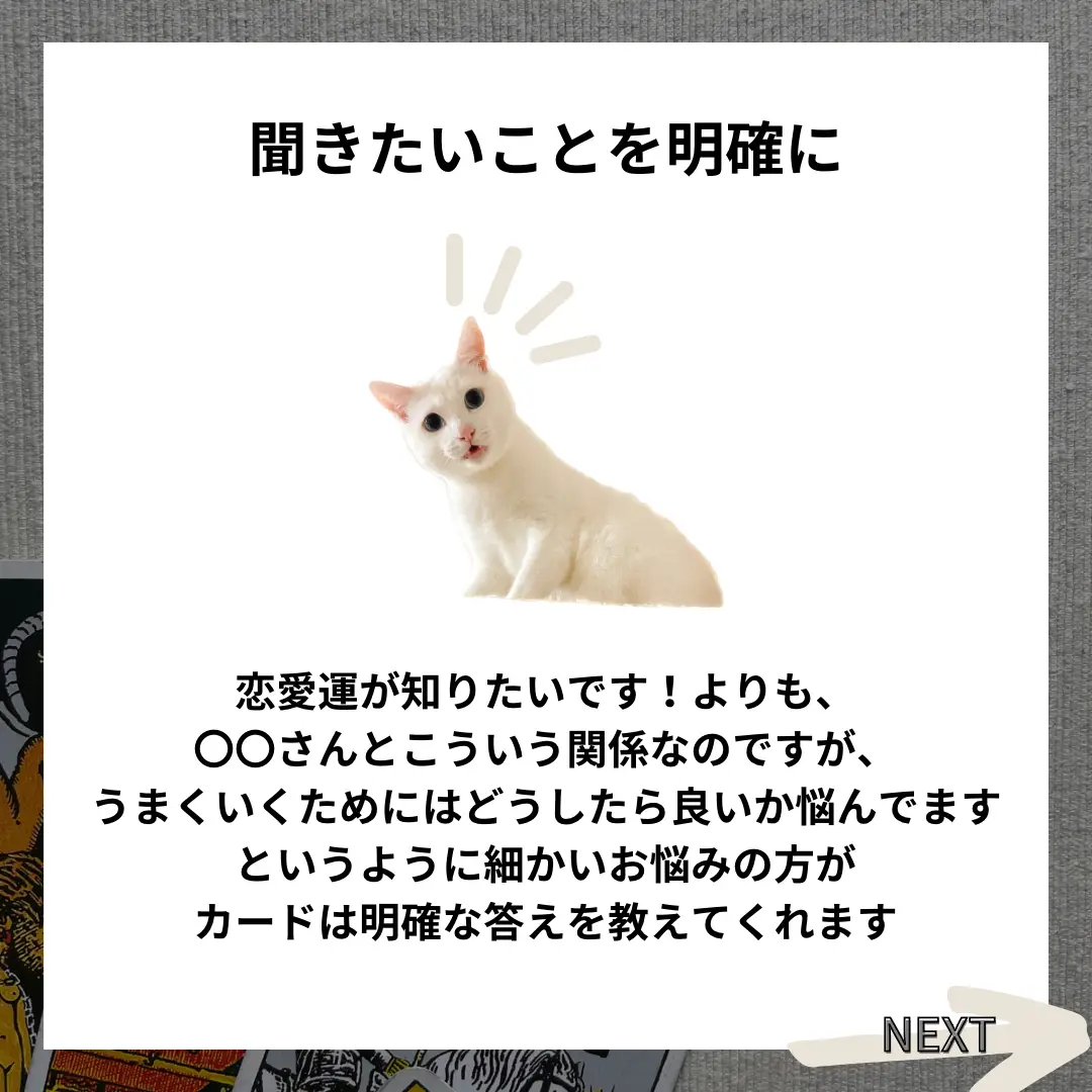 一名様限定❤️ねこちゃんのタロット 細