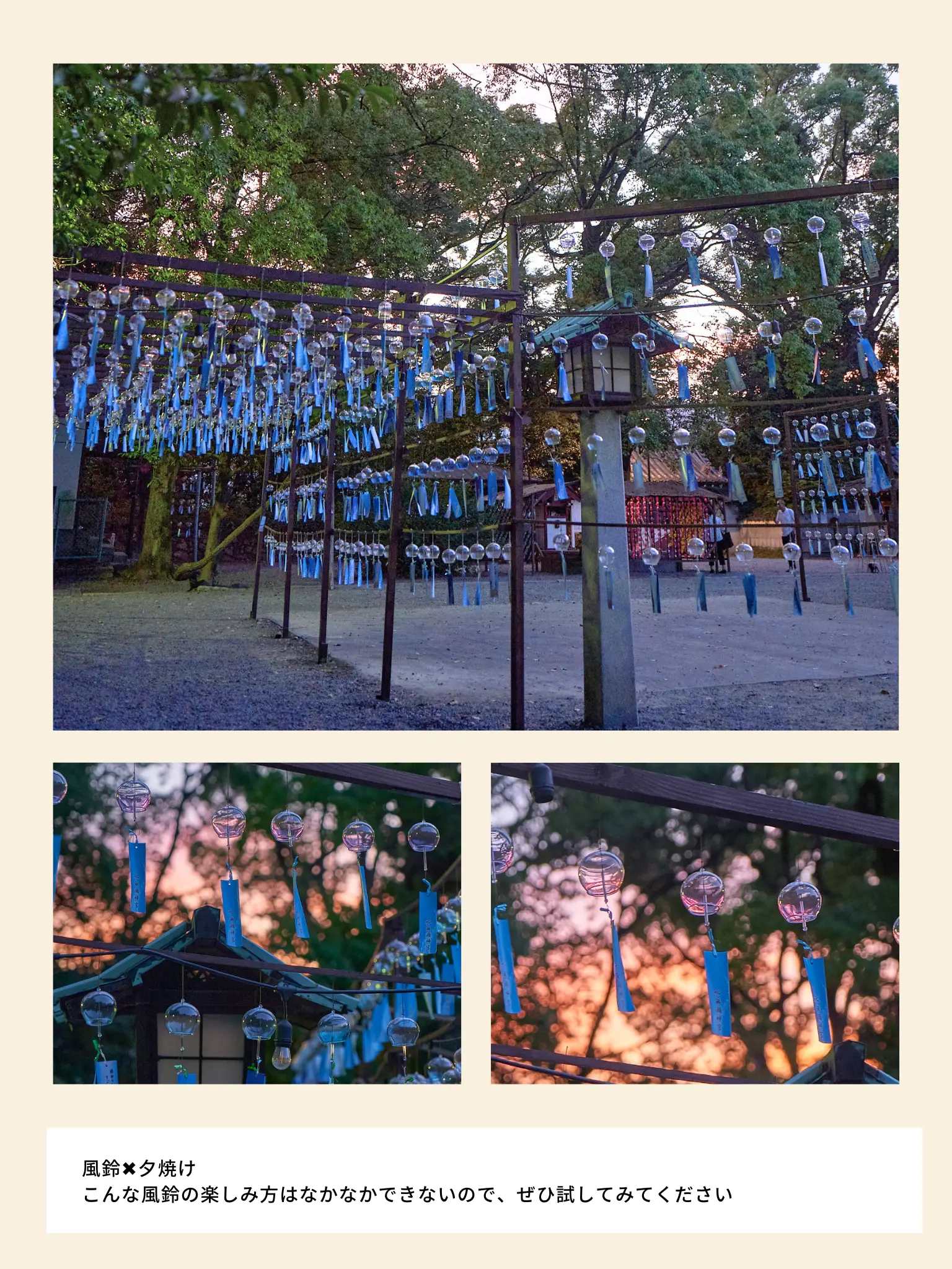 【ライトアップもある💡】水無瀬神宮の風鈴祭り（大阪）の画像 (6枚目)