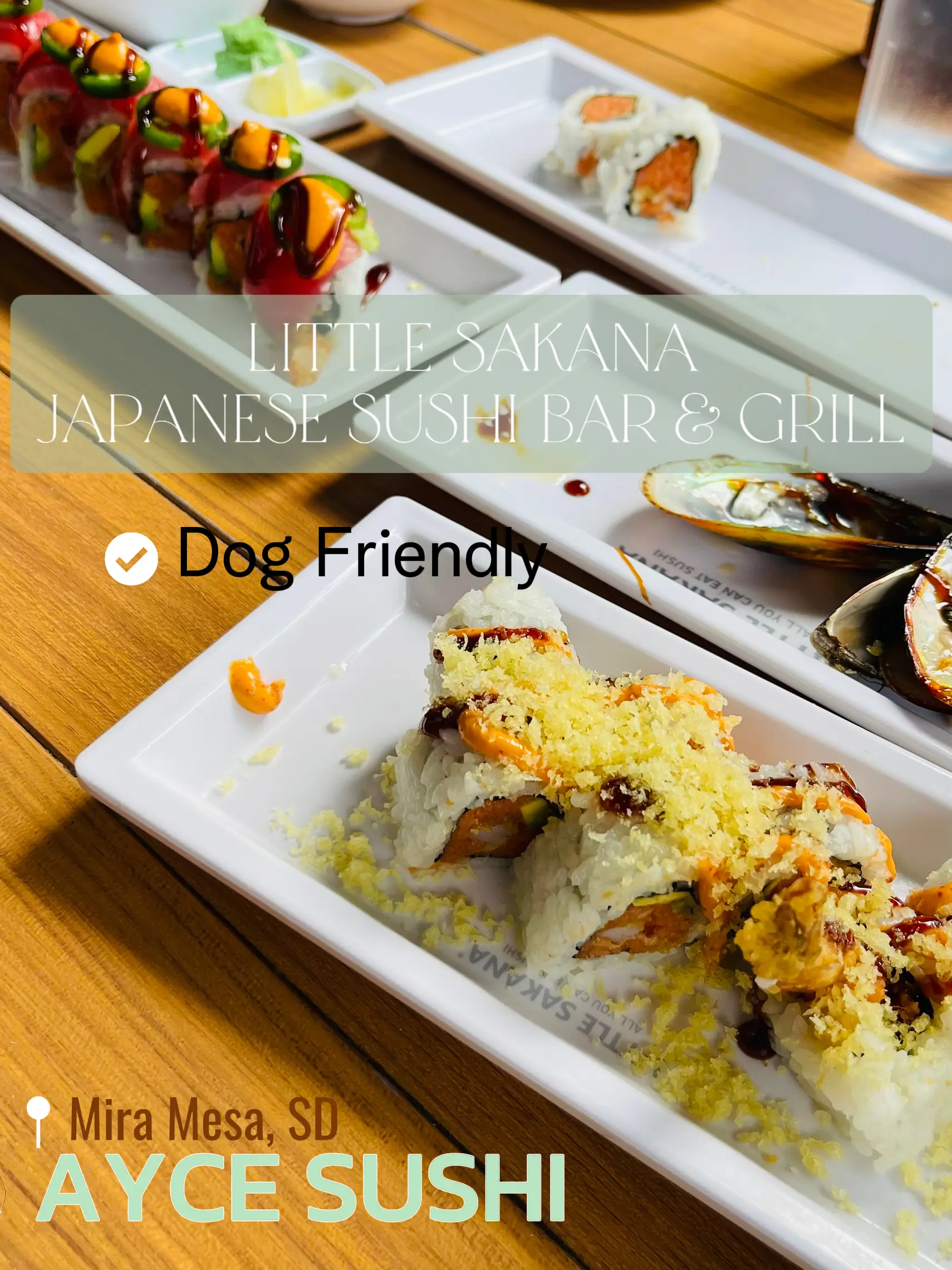 20 top Dog Friendly Restaurants in Columbia ideas in 2024