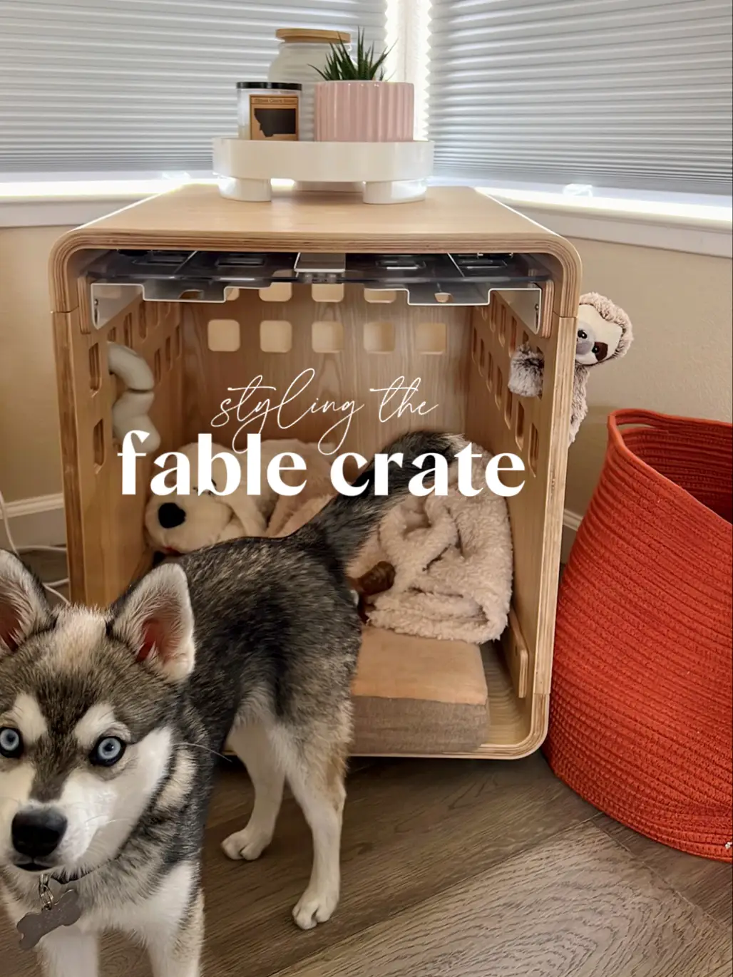 Fable Pets Pet Crate with Metal Gate