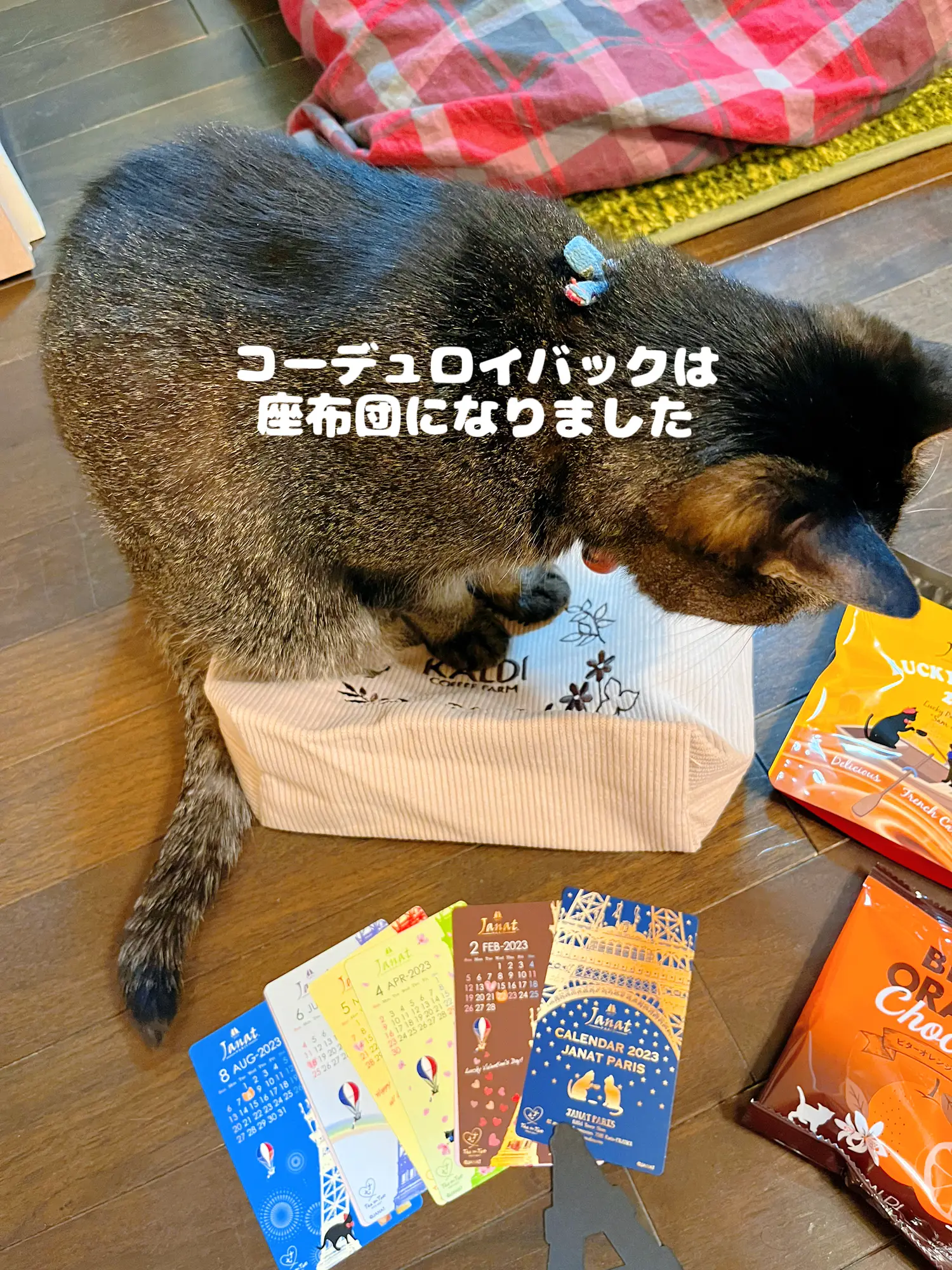 Cardi Cat Day Limited Bag Contents! | Gallery posted by BonbuuNoir