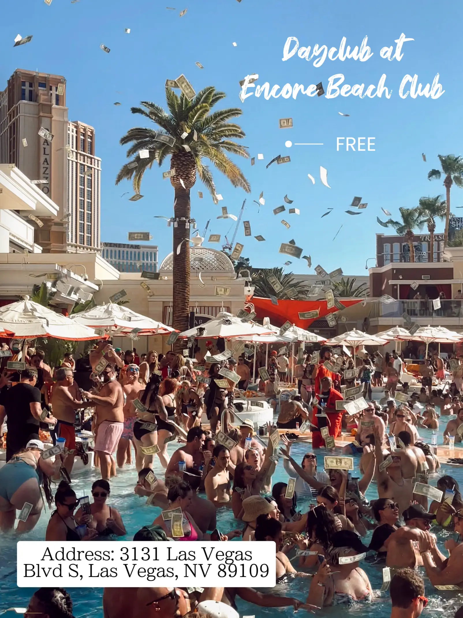 Every Las Vegas vacation should include a dayclub experience - Las Vegas  Magazine