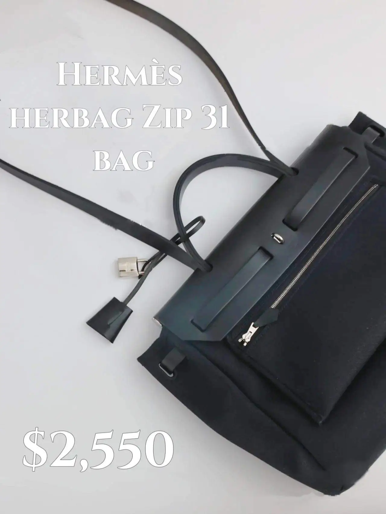 Hermes Herbag Bag Pegasus Canvas Palladium Hardware In Black