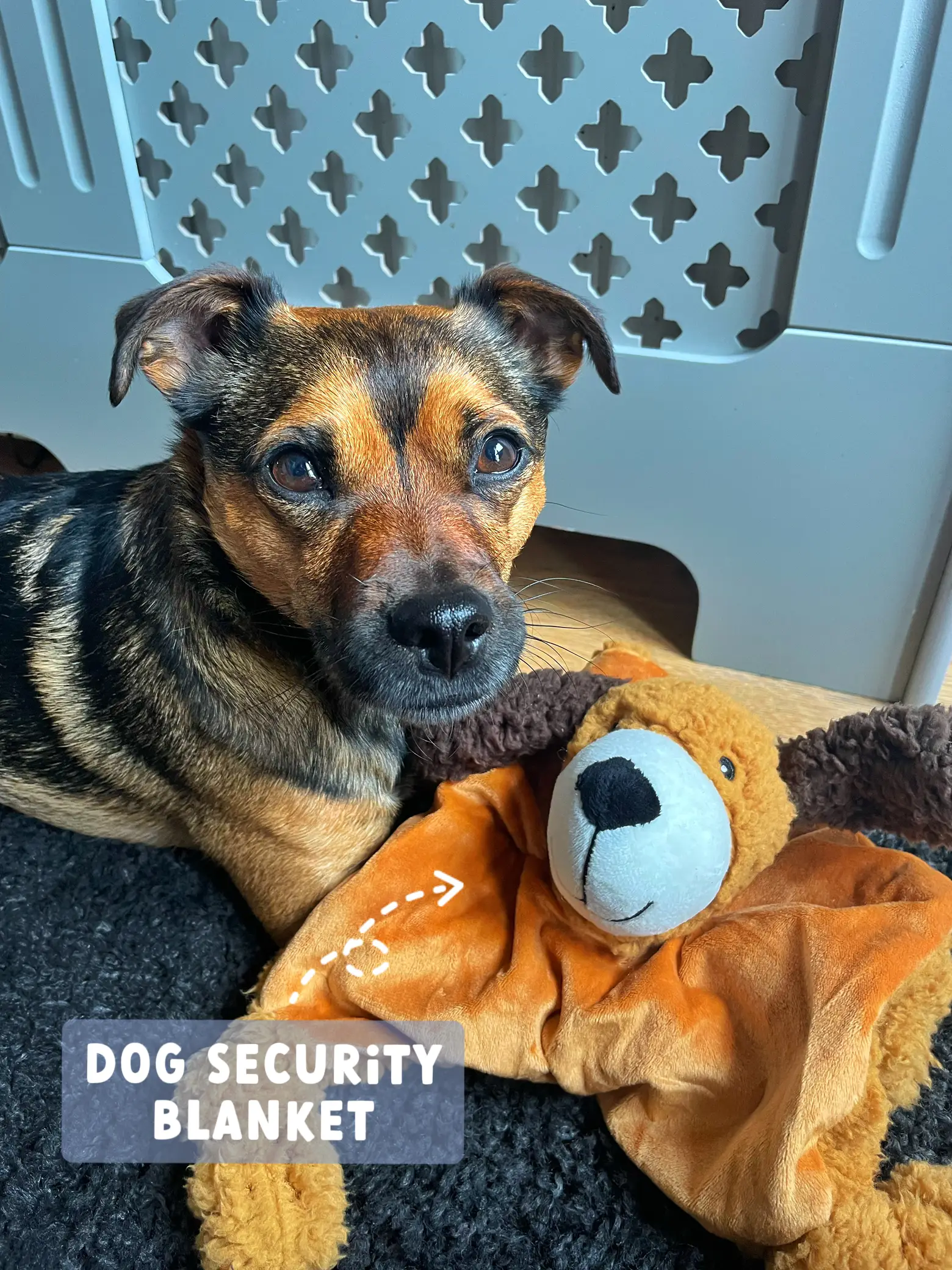Aromadog Fleece Dog Toy Calming Pet Seperation Anxiety