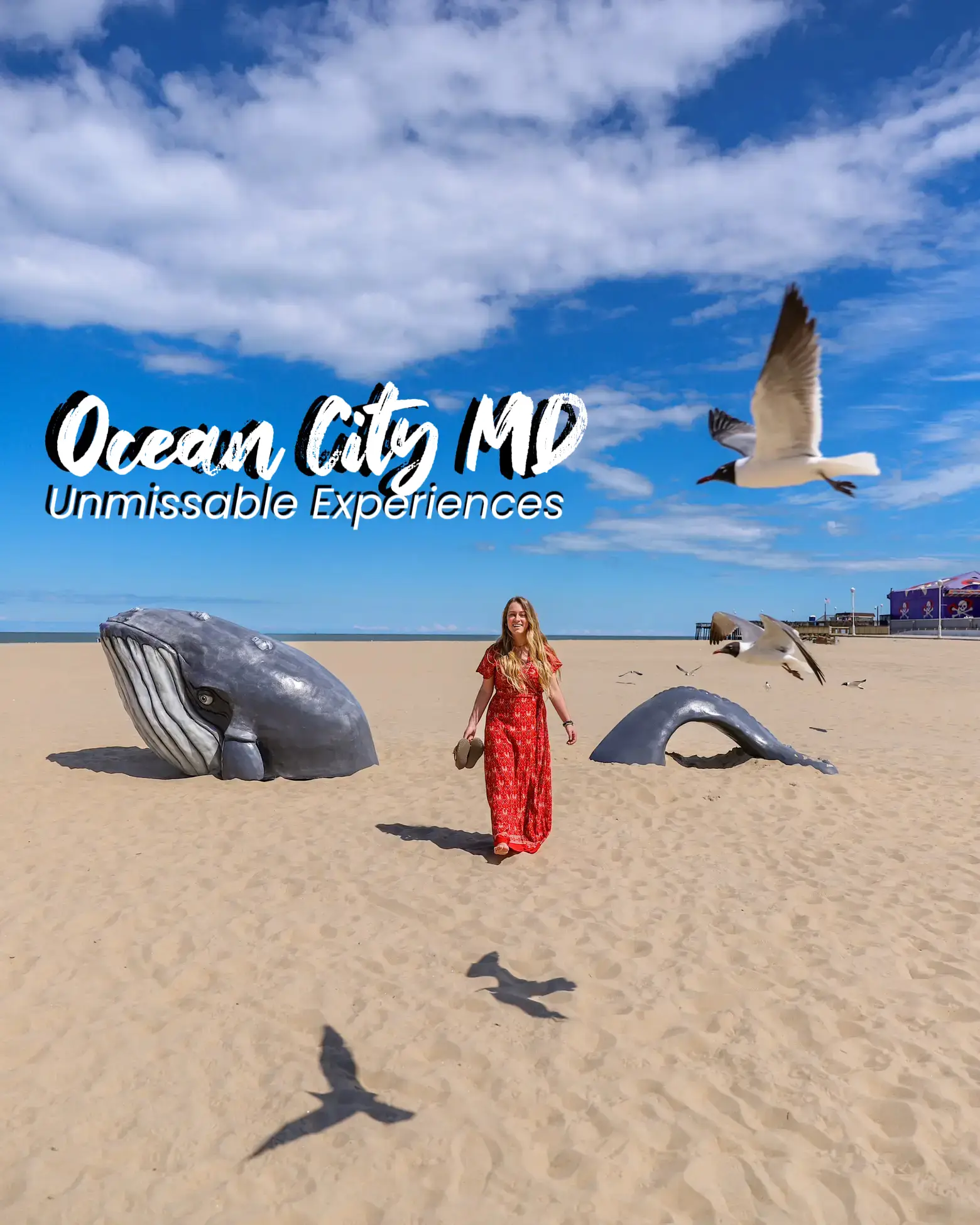 Top Things To Do in Ocean City, Maryland | Gallery posted by Aleah + Seth |  Lemon8