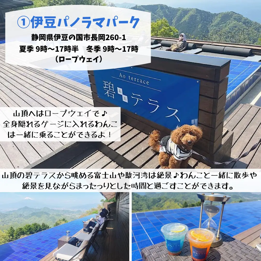 伊豆アンダの森・愛犬お宿・宿泊 バリアンスタンプカード しまへ