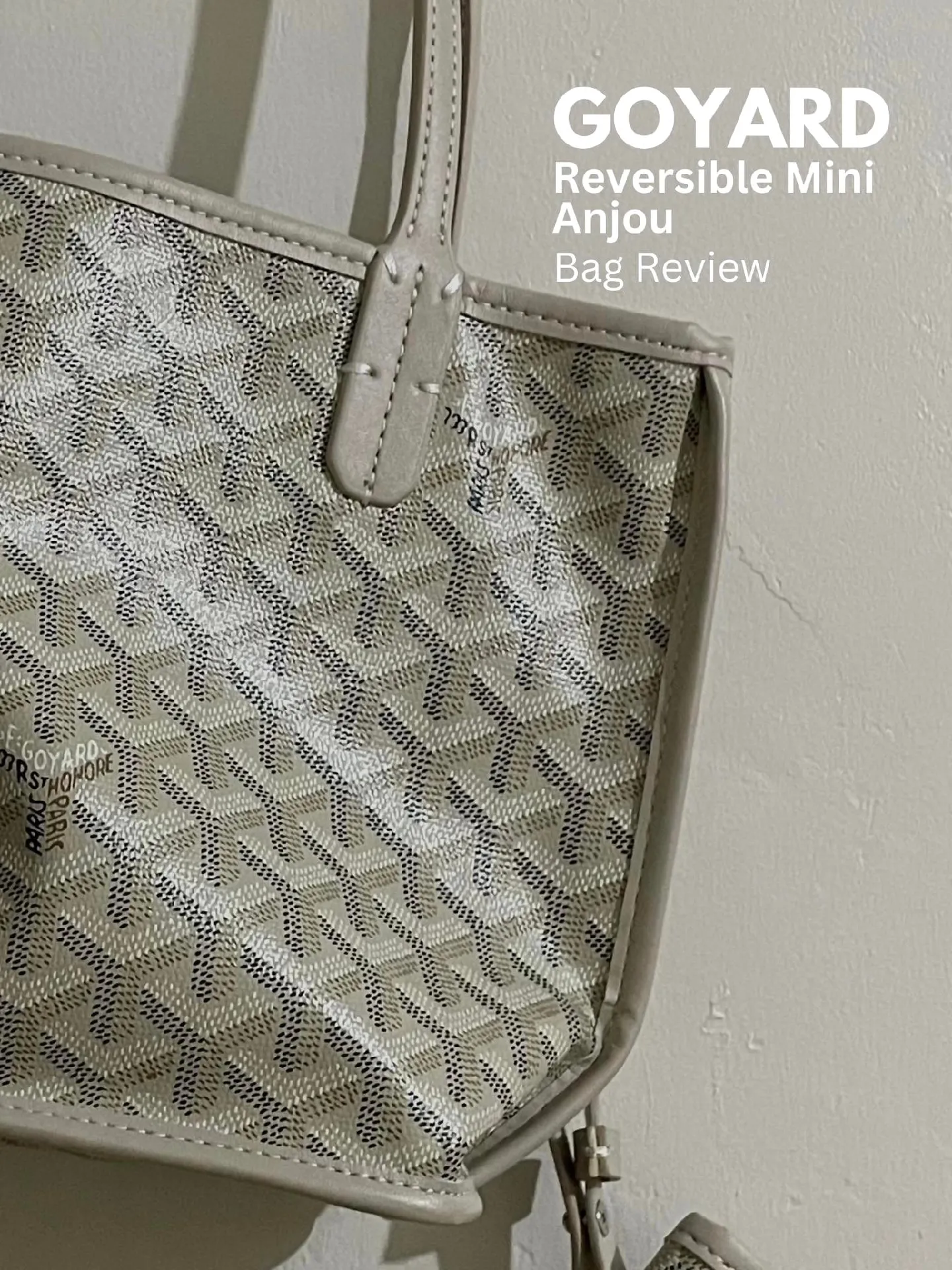Goyard, Bags, Goyard Mini Anjou Reversible Tote Grey
