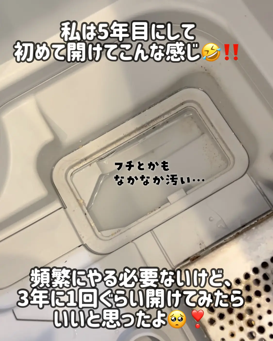 パナソニック食洗機】え？ココ、はずせるの？ってとこ外して掃除してみ