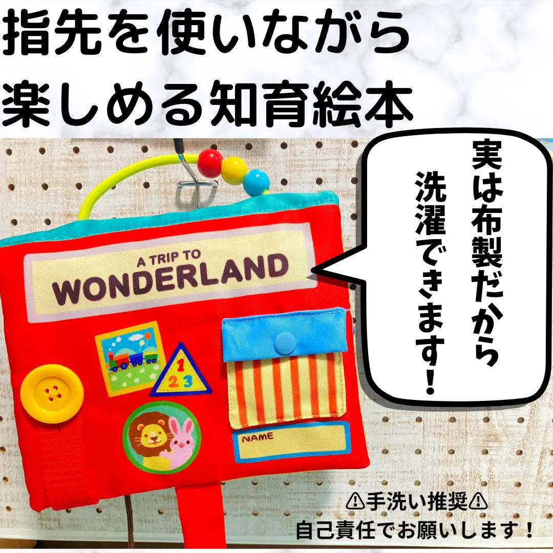 📚布製の知育絵本！指先訓練に最適🤗実は…洗えちゃいますw📚 | ひでひでよROOMが投稿したフォトブック | Lemon8