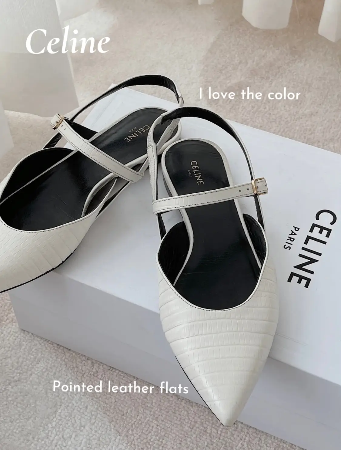 Celine pointed sale flats