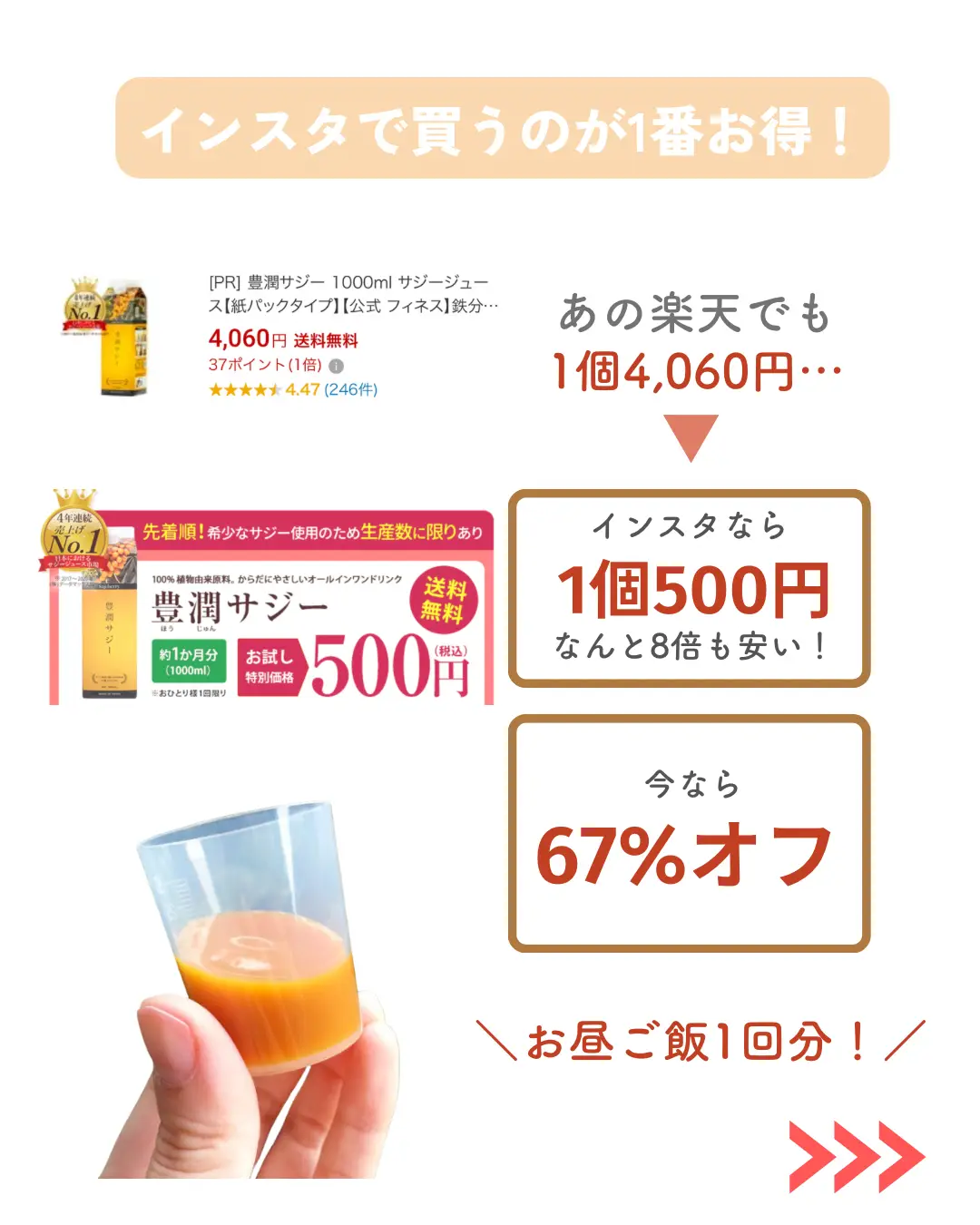 豊潤サジー お得セット おまけつき 豊潤サジー お得セット おまけつき