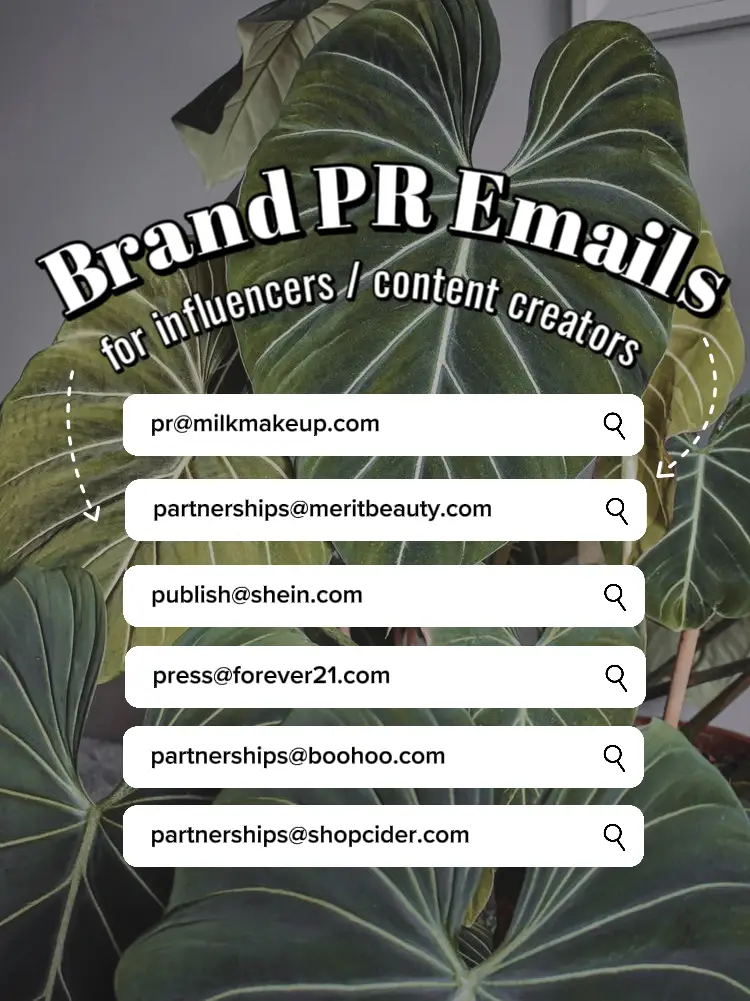 brand-pr-emails-for-influencers-gallery-posted-by-l-a-u-r-a-lemon8