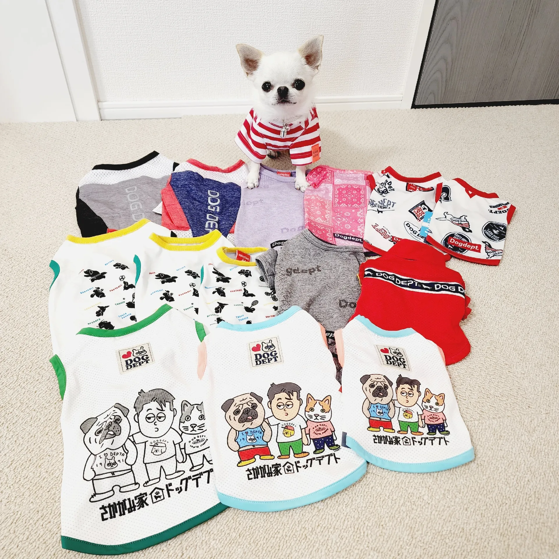ドックデプト犬服Mサイズ7点 【公式通販】 ドックデプト犬服Mサイズ7点 【公式通販】