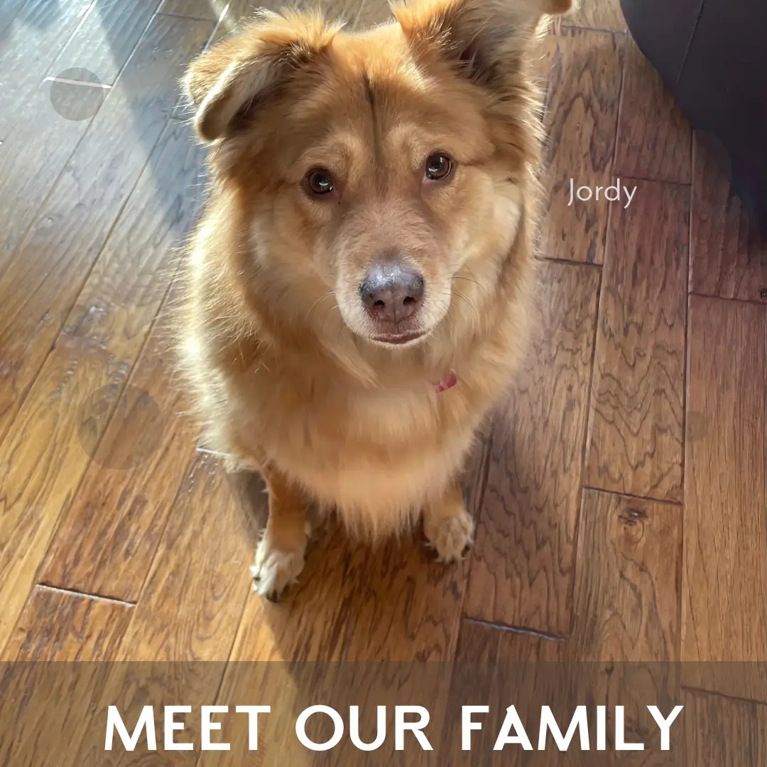 Meet Our Family! | Gallery posted by Shannon Ricco | Lemon8