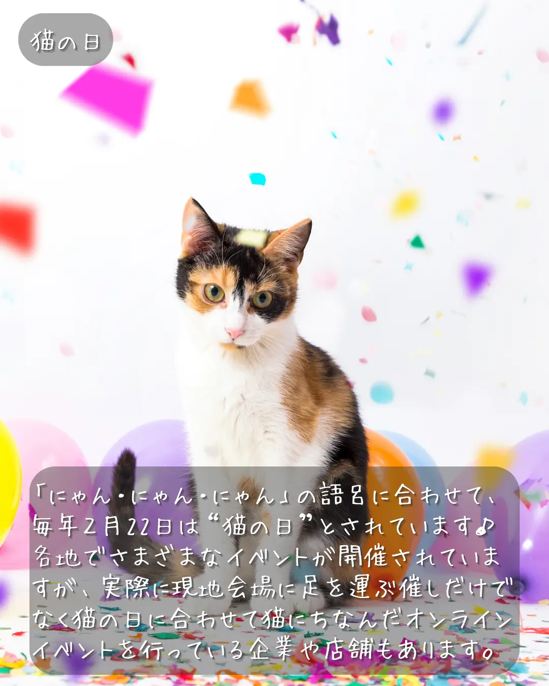 猫の日2023 - Lemon8検索