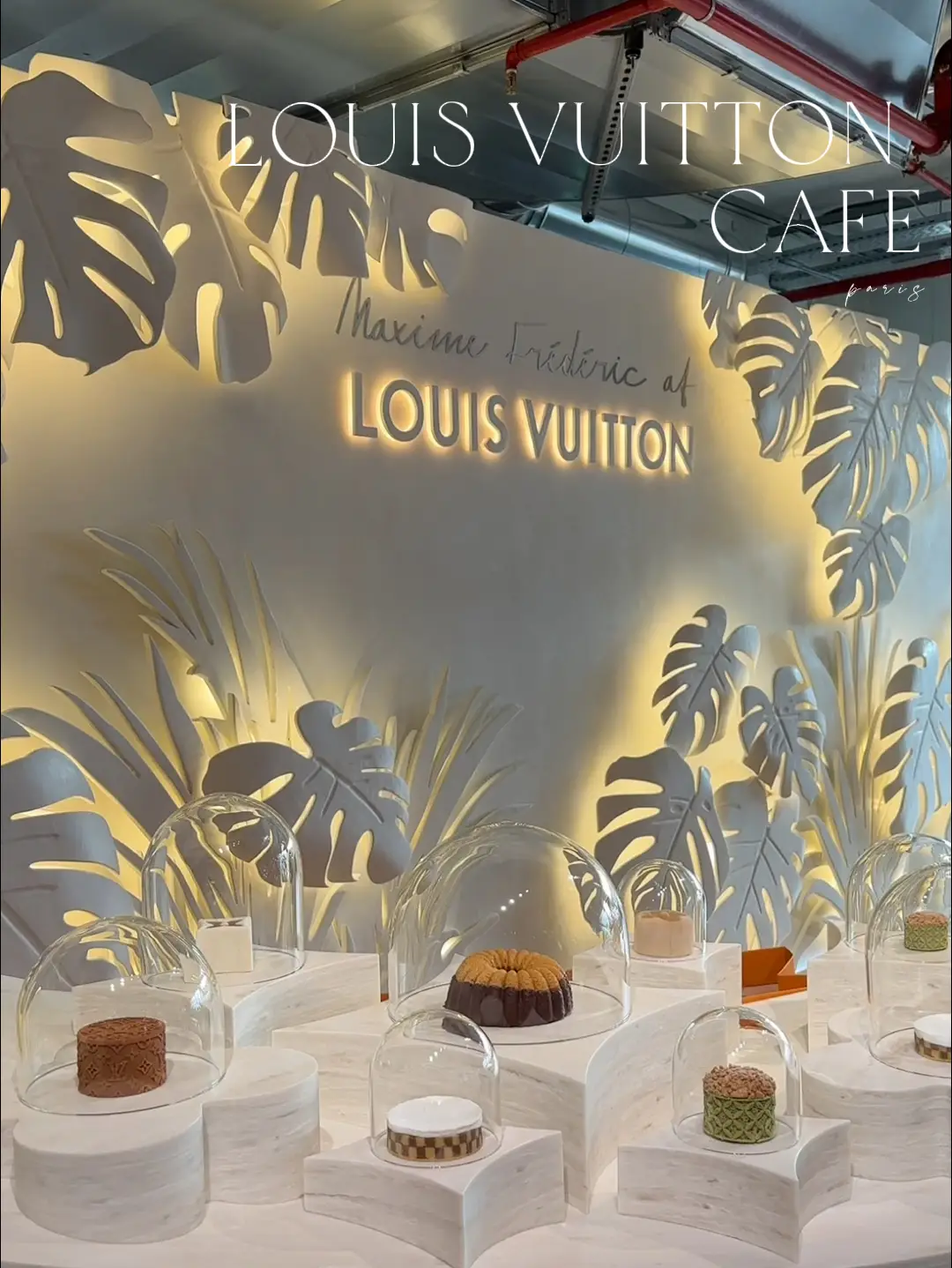 Louis Vuitton Chocolates, Danielle