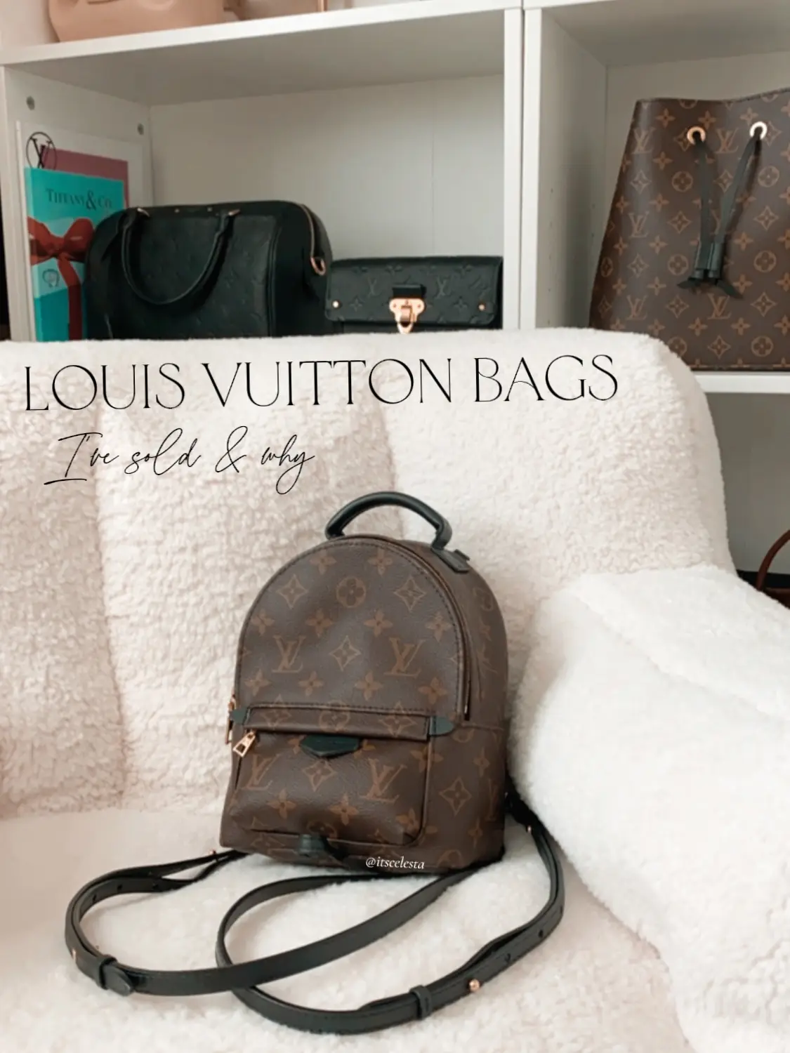 Louis Vuitton Mini Palm Springs Backpack Review - She's Amazing