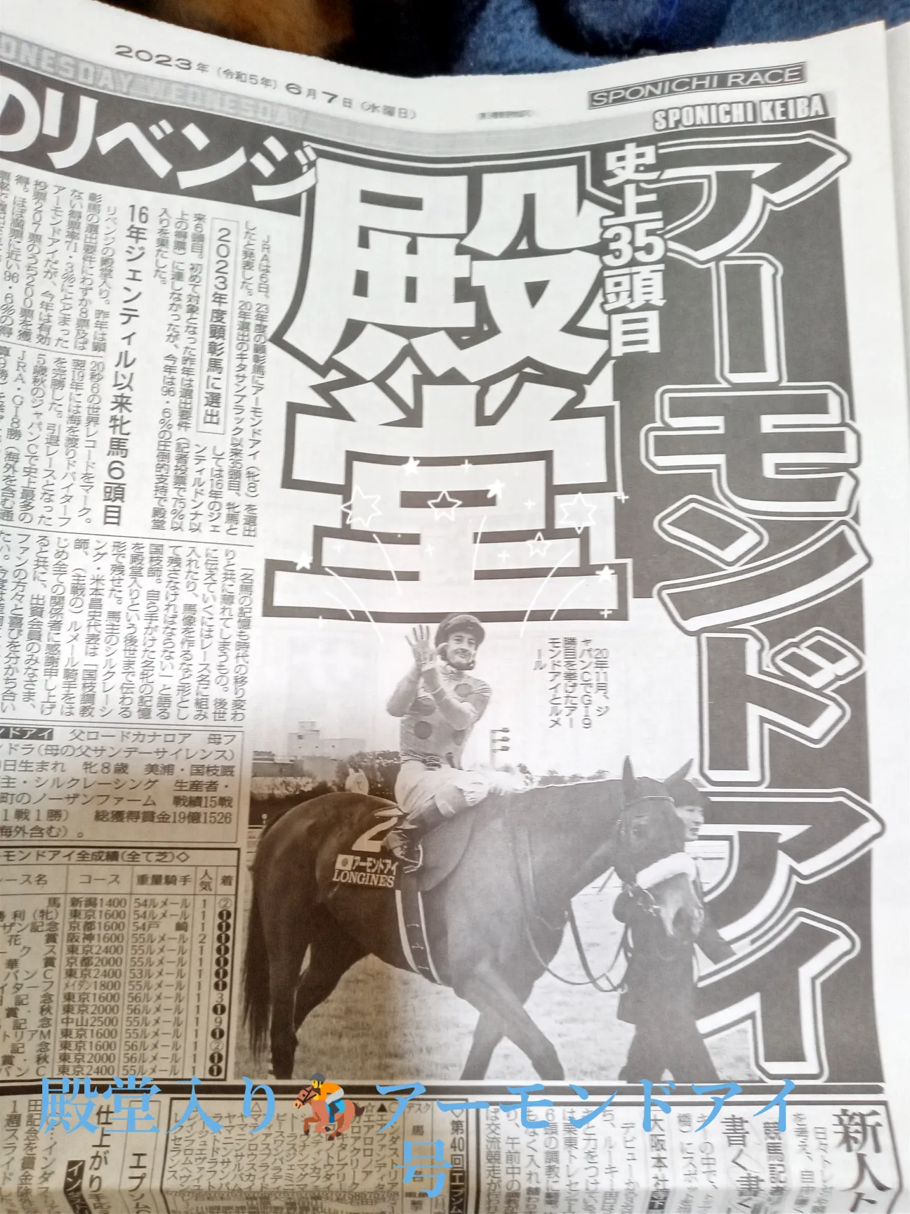 ウマ娘ファン必見！3冠馬ナリタブライアンu0026ディープ