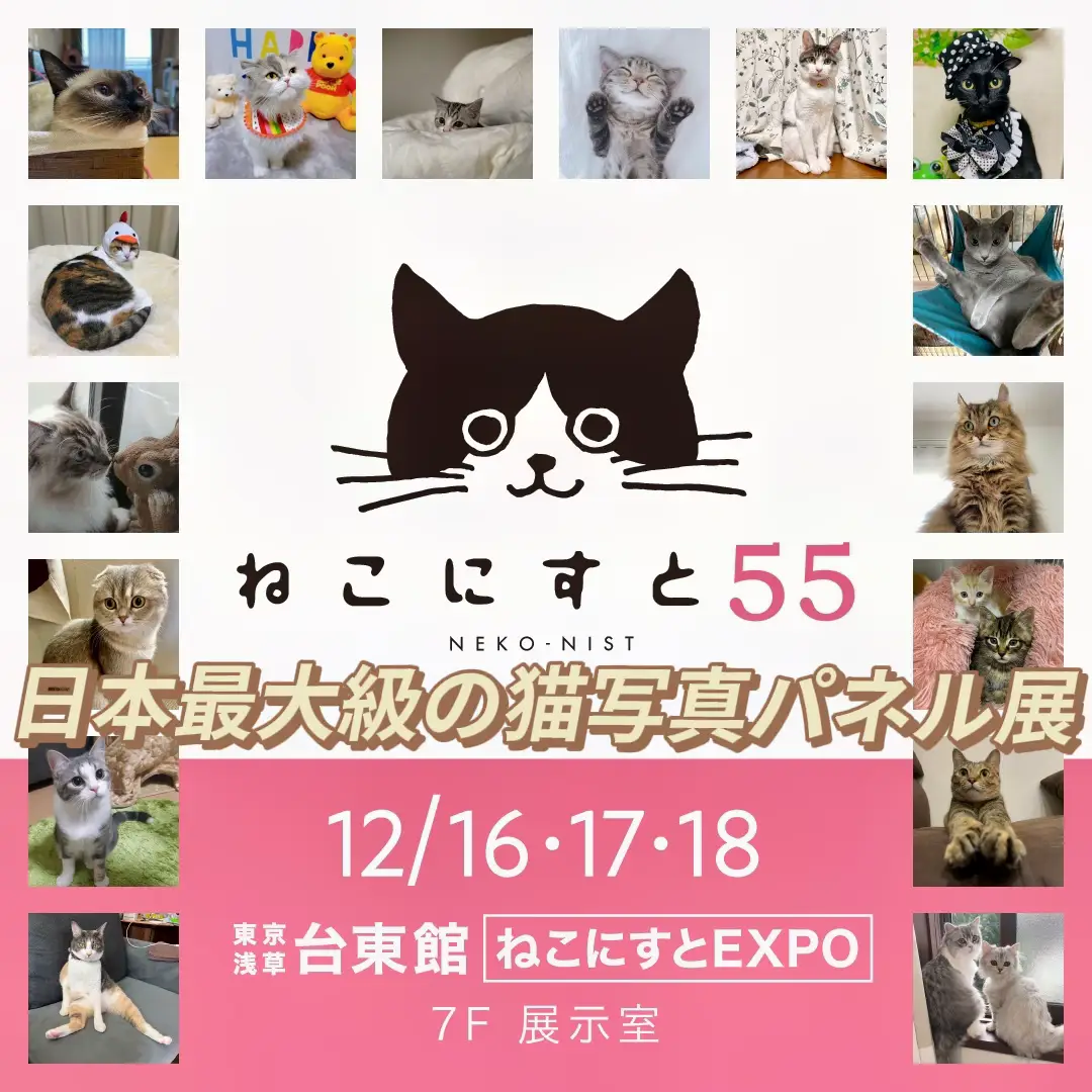 大黒摩季や高城れにの愛猫写真も展示 | Cat Pressが投稿したフォト