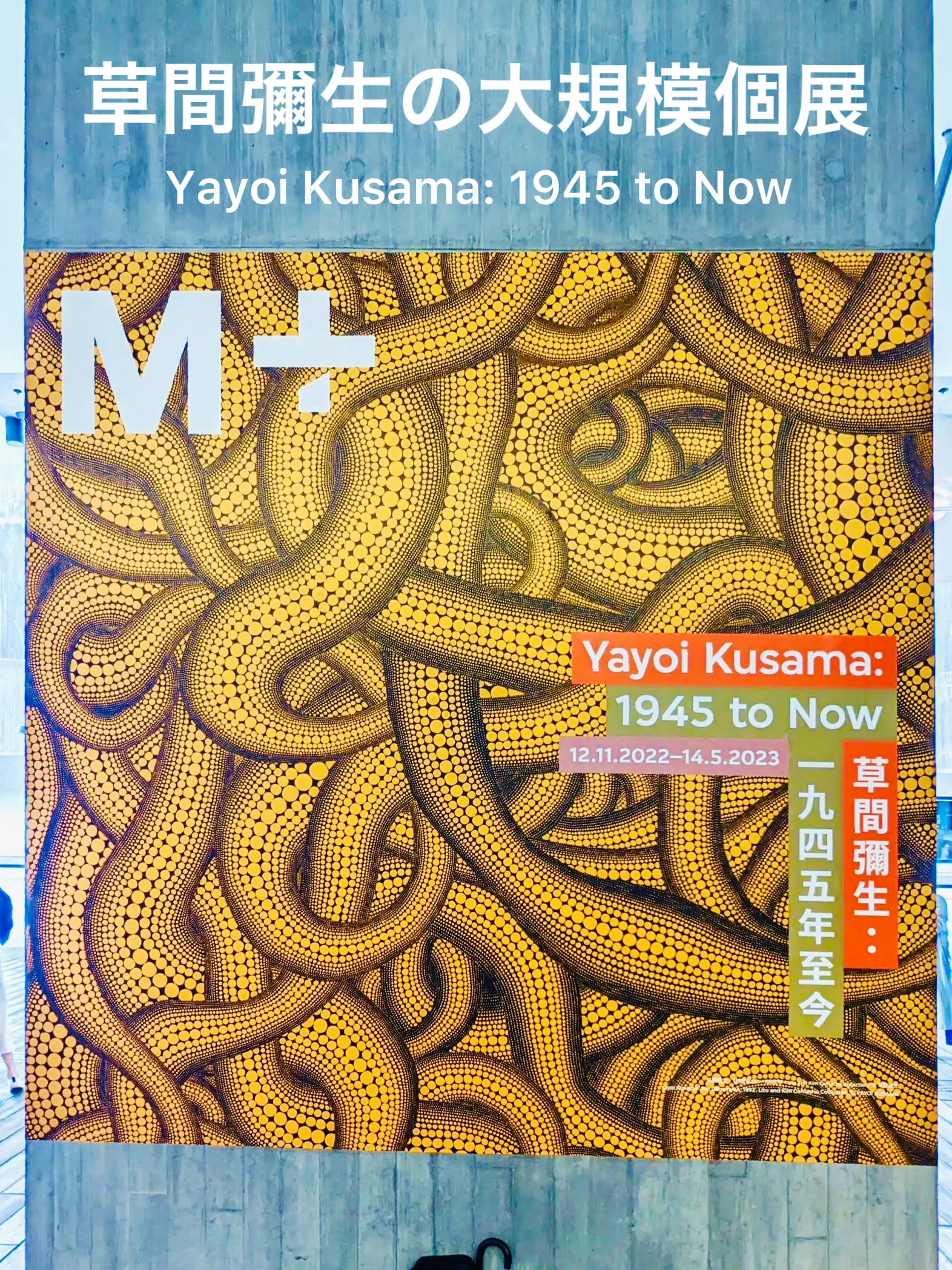 香港M＋】草間彌生の大規模個展「Yayoi Kusama: 1945 to Now