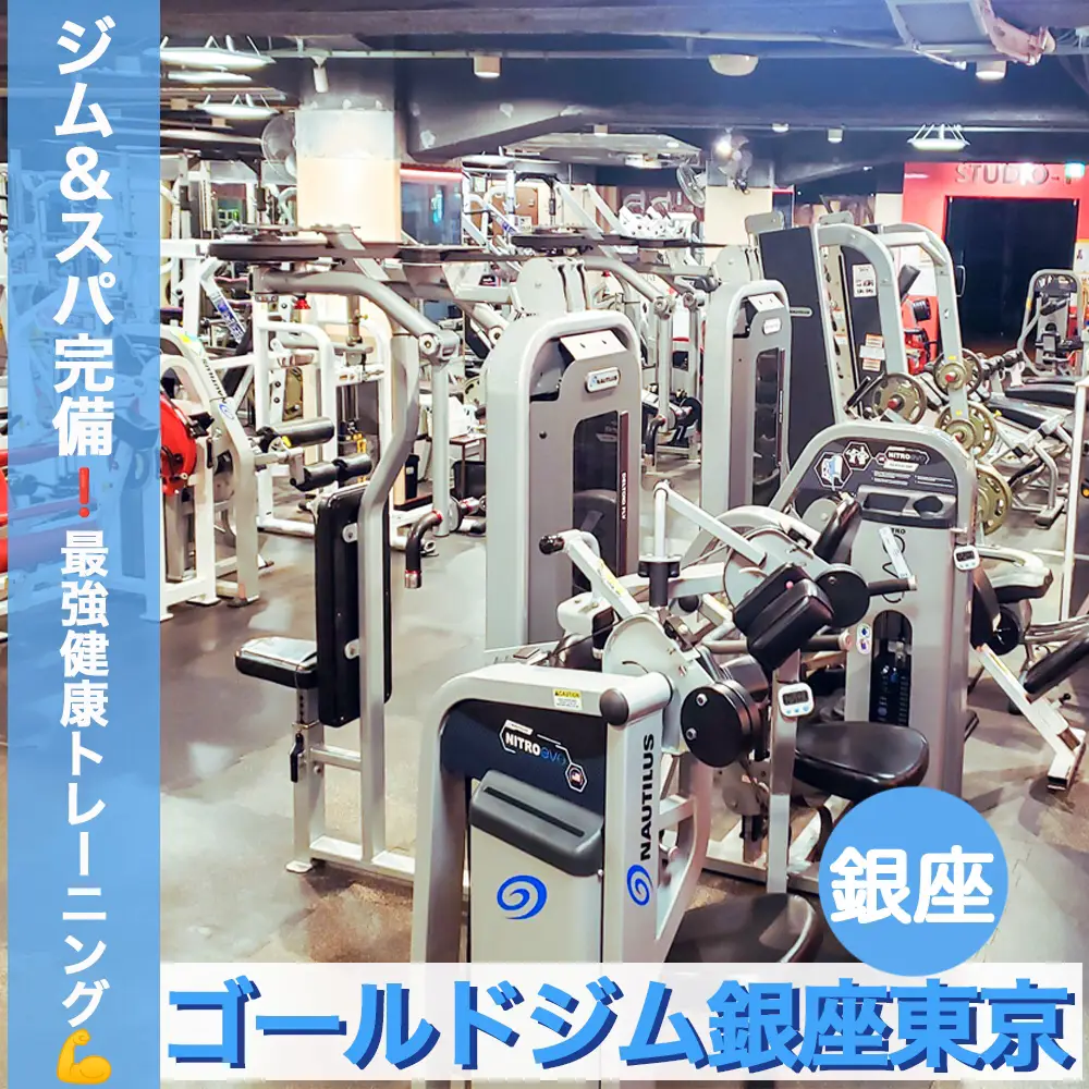希望値下げ 早い者勝ち激レア 未使用 ゴールドジム ボストン