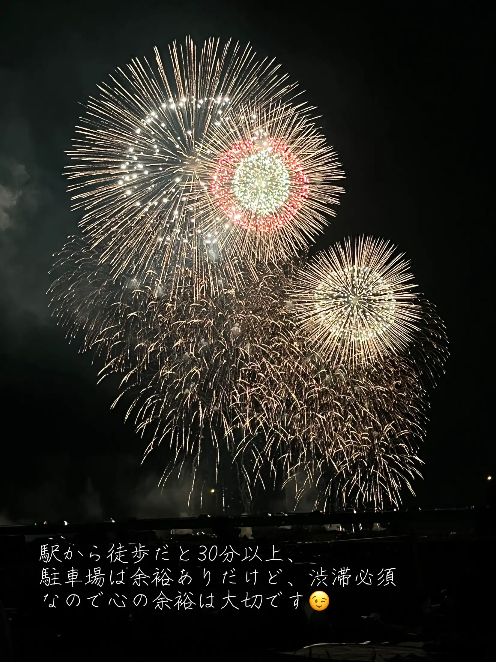 アイリス様用]長岡花火大会 8月2日 2024 チケット 定価 2枚