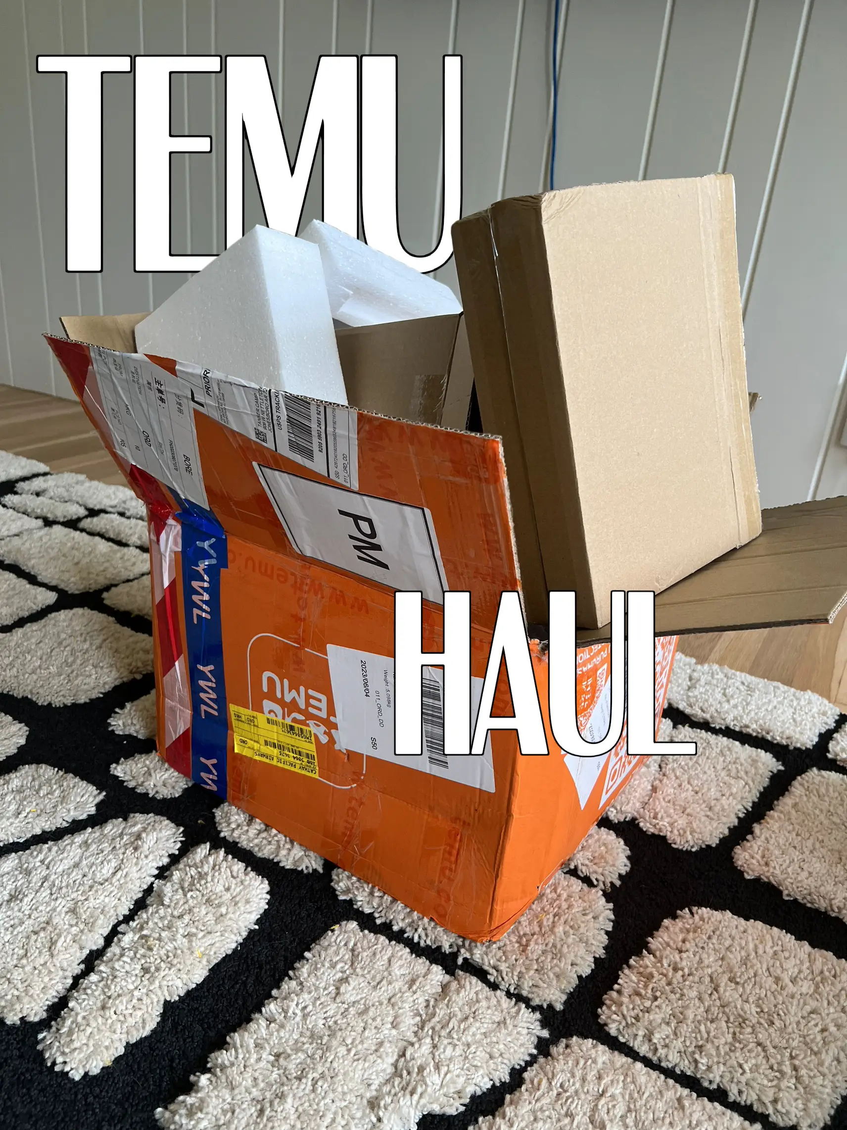 TEMU Haul, Kitchen Edition