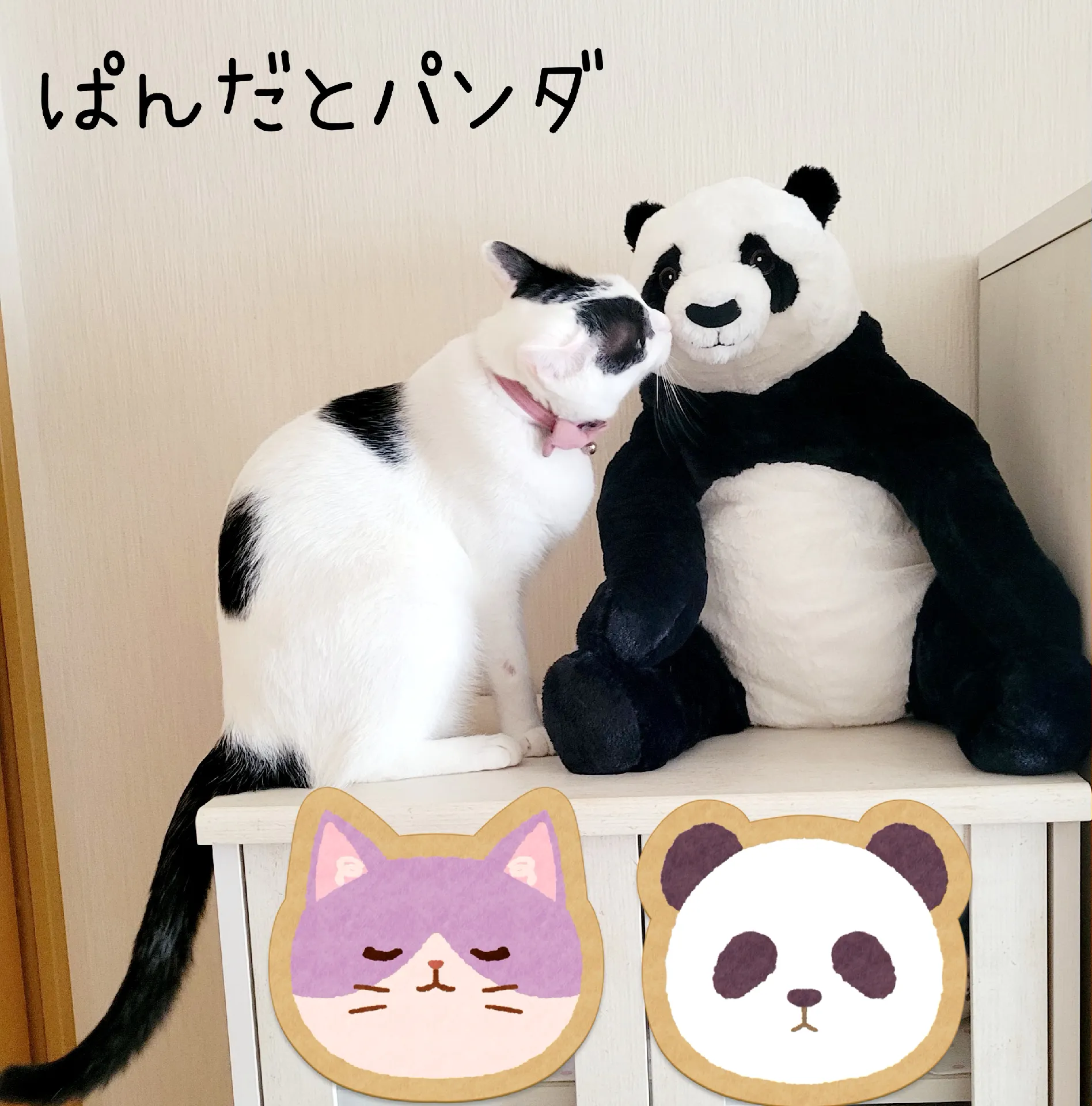 ぱんだとパンダ🐼 | ひとちゃんともかちが投稿したフォトブック | Lemon8