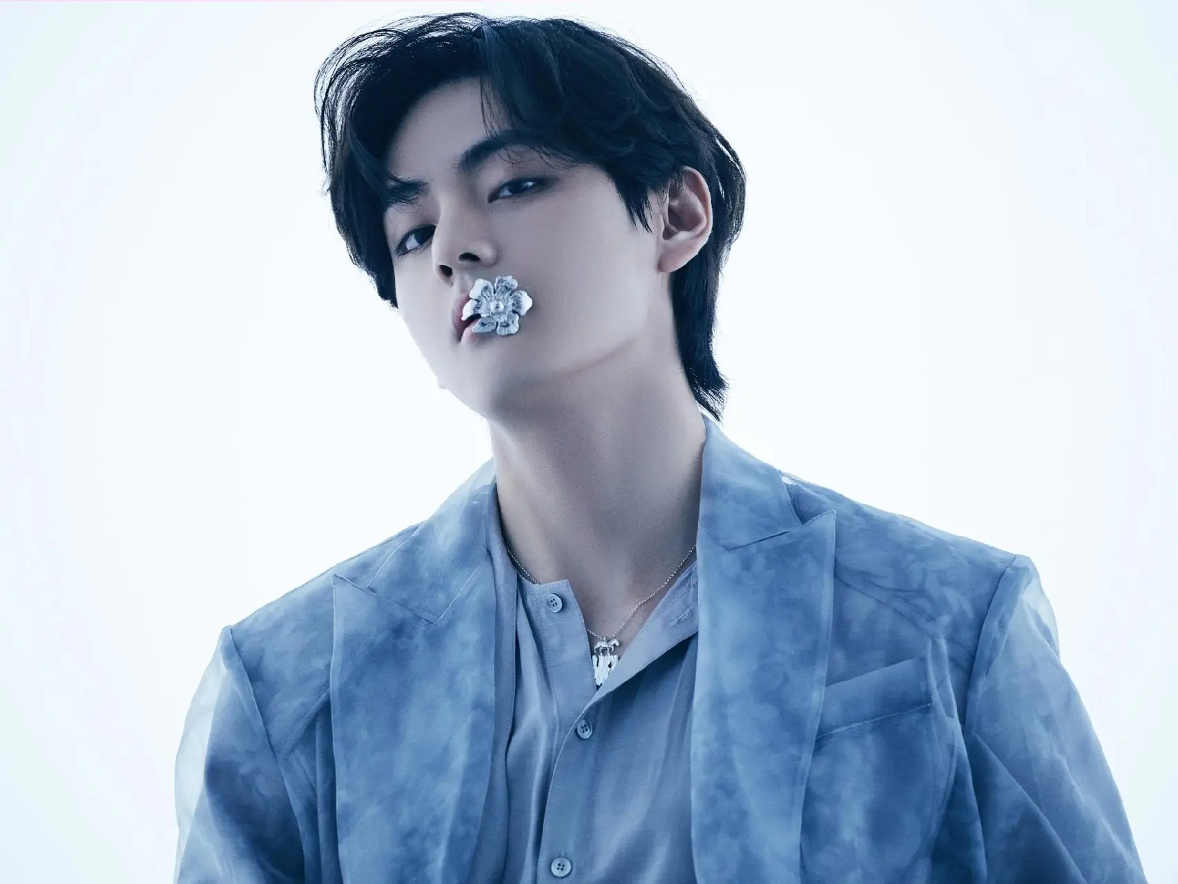 BTS bts v テテ テヒョン 透明うちわ 防弾少年団(BTS) - BTS テテ 新大久保 透明うちわ マスタニムの