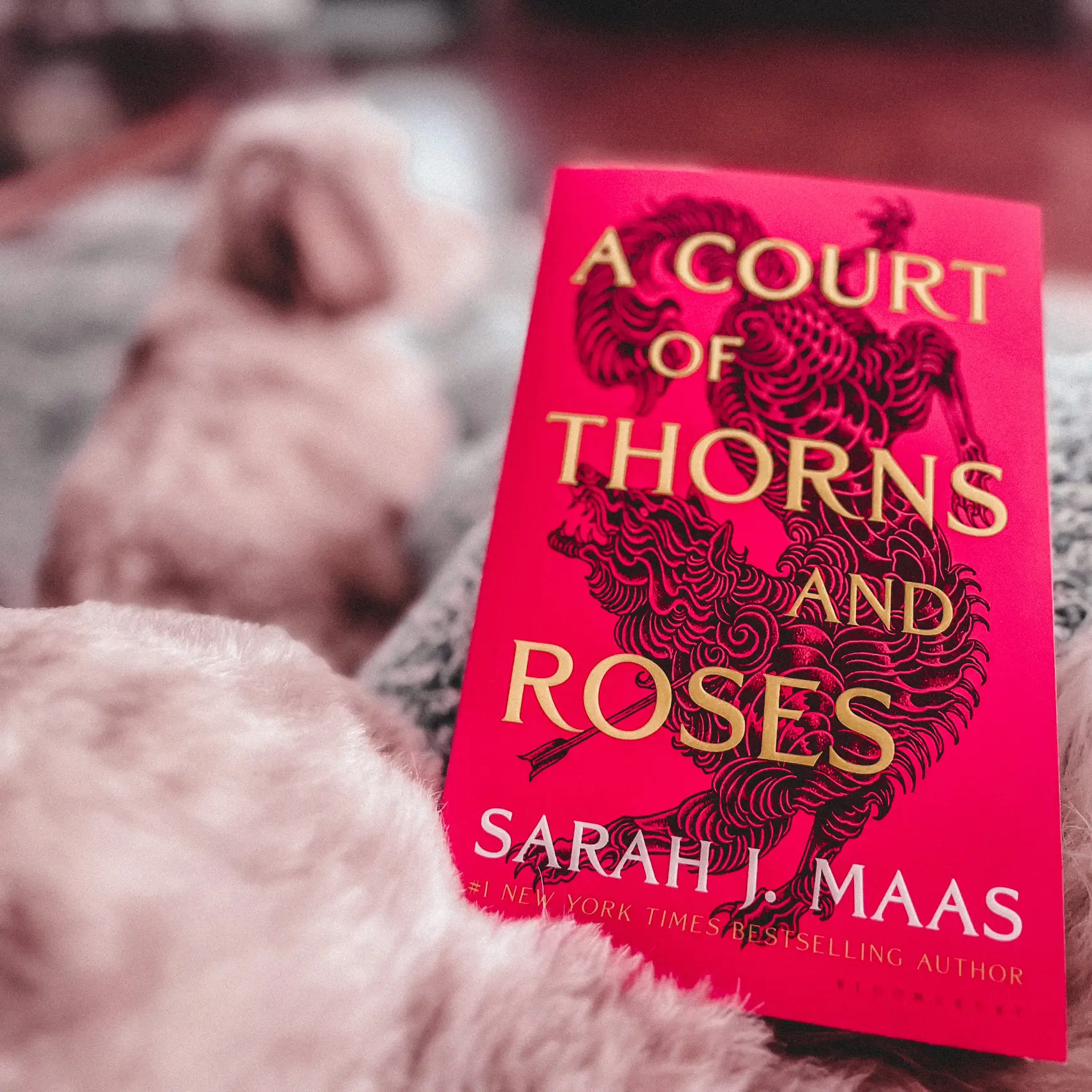 Books To Read After the 'A Court of Thorns and Roses' Series – SheKnows