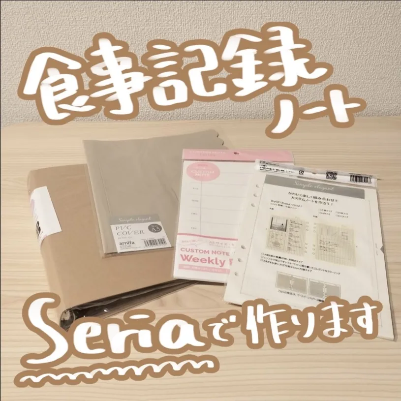 健康管理表 ダイエットノート 健康記録 ややこしく