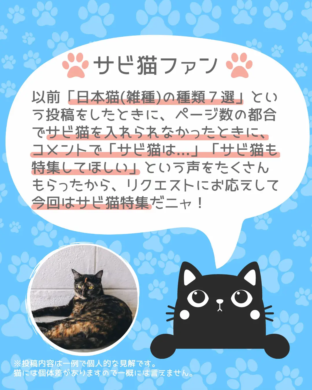 海外でも人気】サビ猫ってどんな猫？ | ねこすたぐらむ🐾猫好きさんが