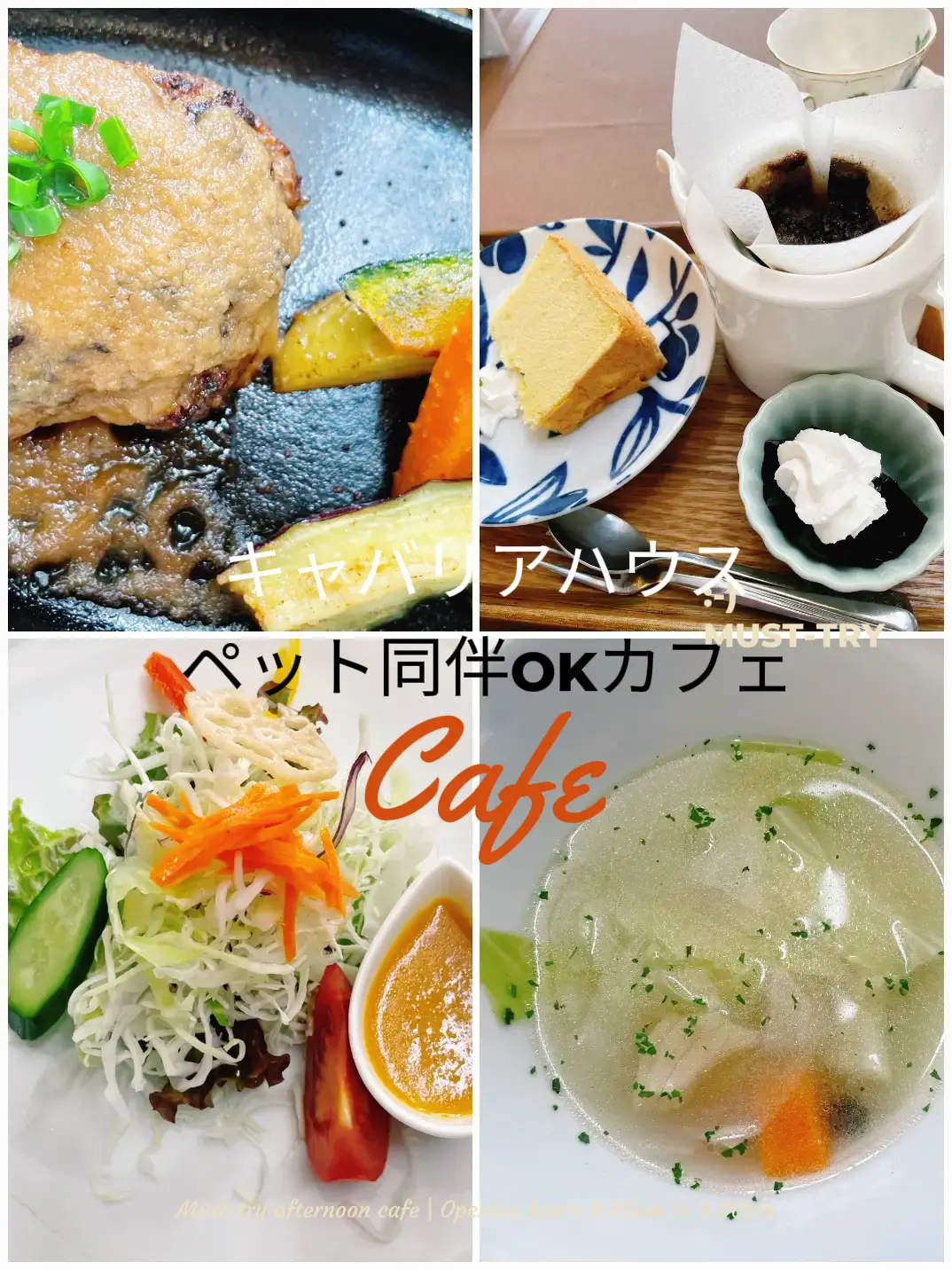 佐賀ドッグカフェ - Lemon8検索