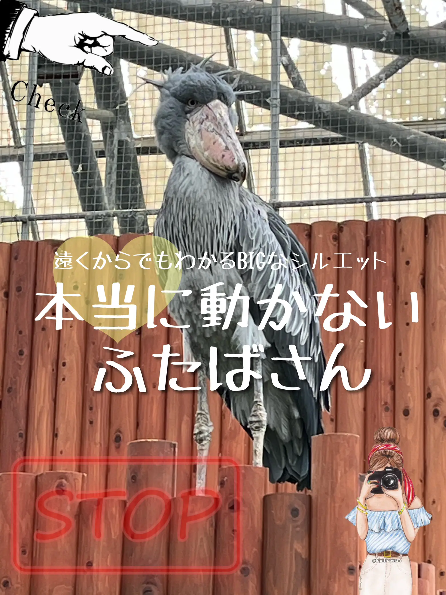 dream come true！！念願の掛川花鳥園   | My List♡...が投稿したフォトブック | Lemon8