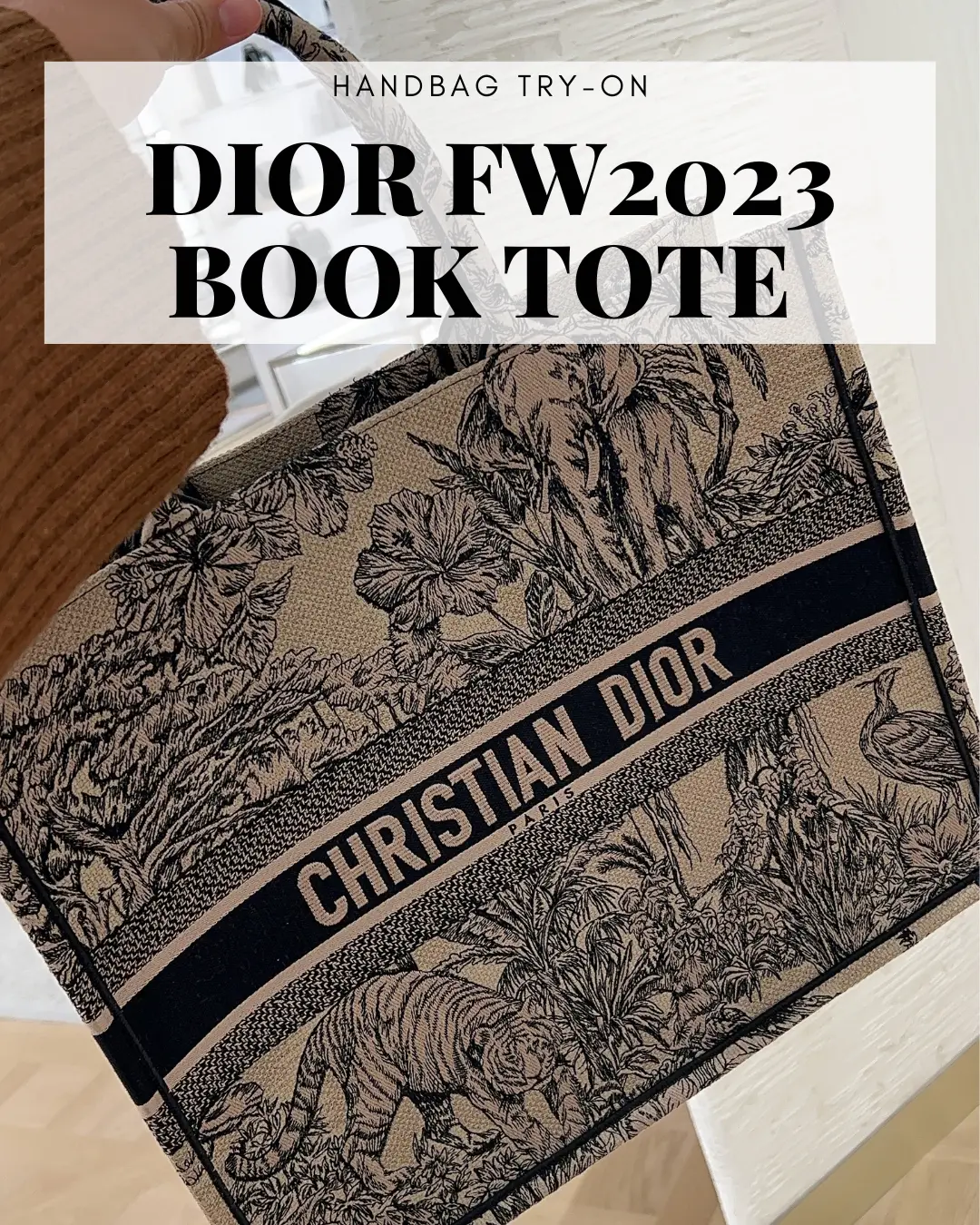 13 Dior book tote dupes that are affordable
